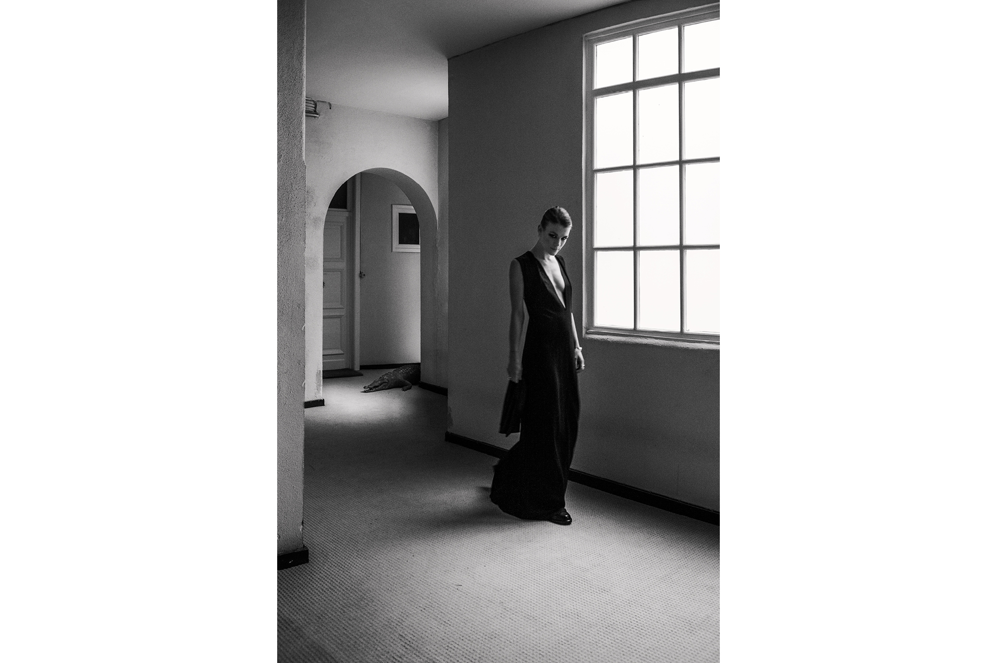 Trixie Whitley, 2016