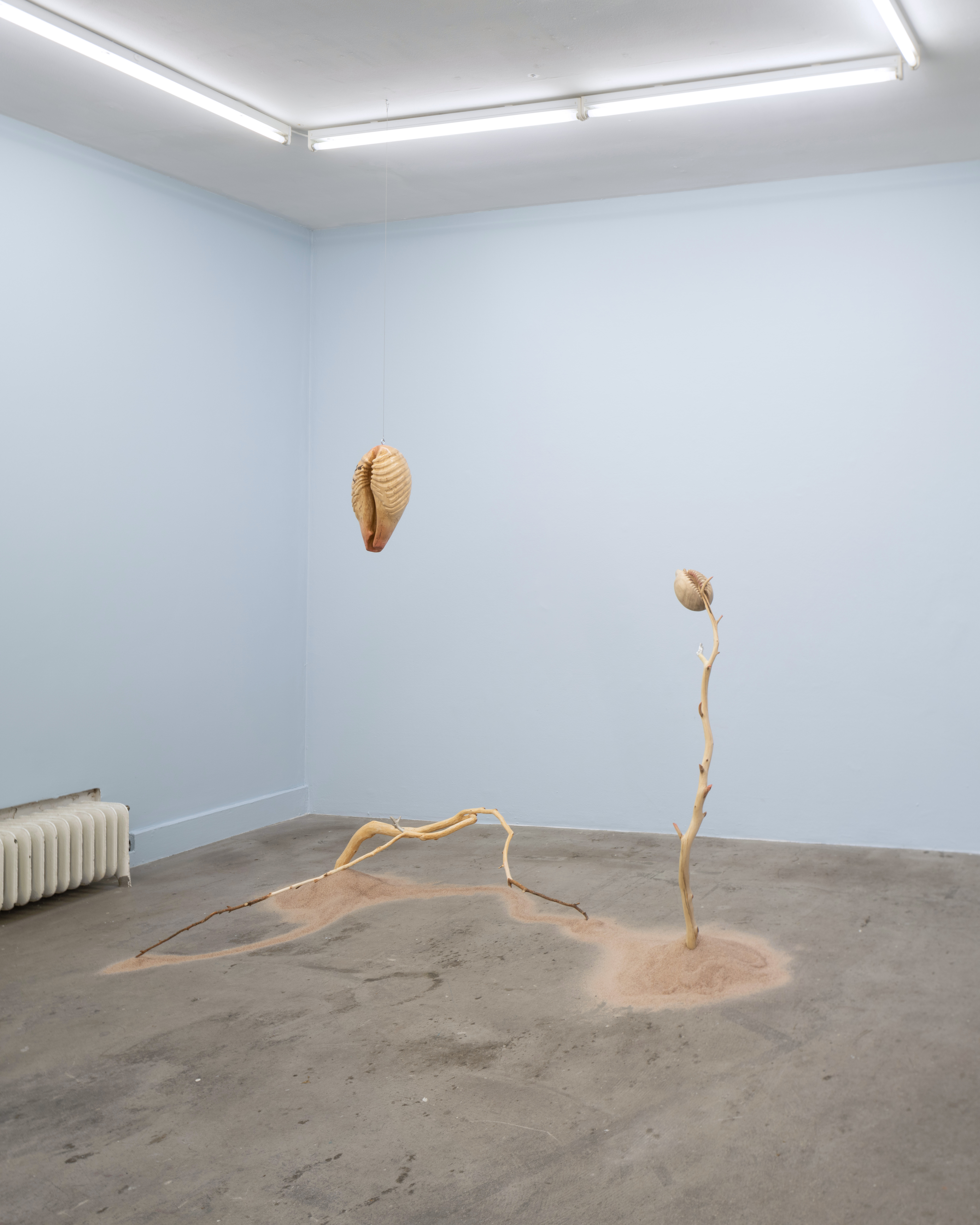 Photo: Hendrik Zeitler