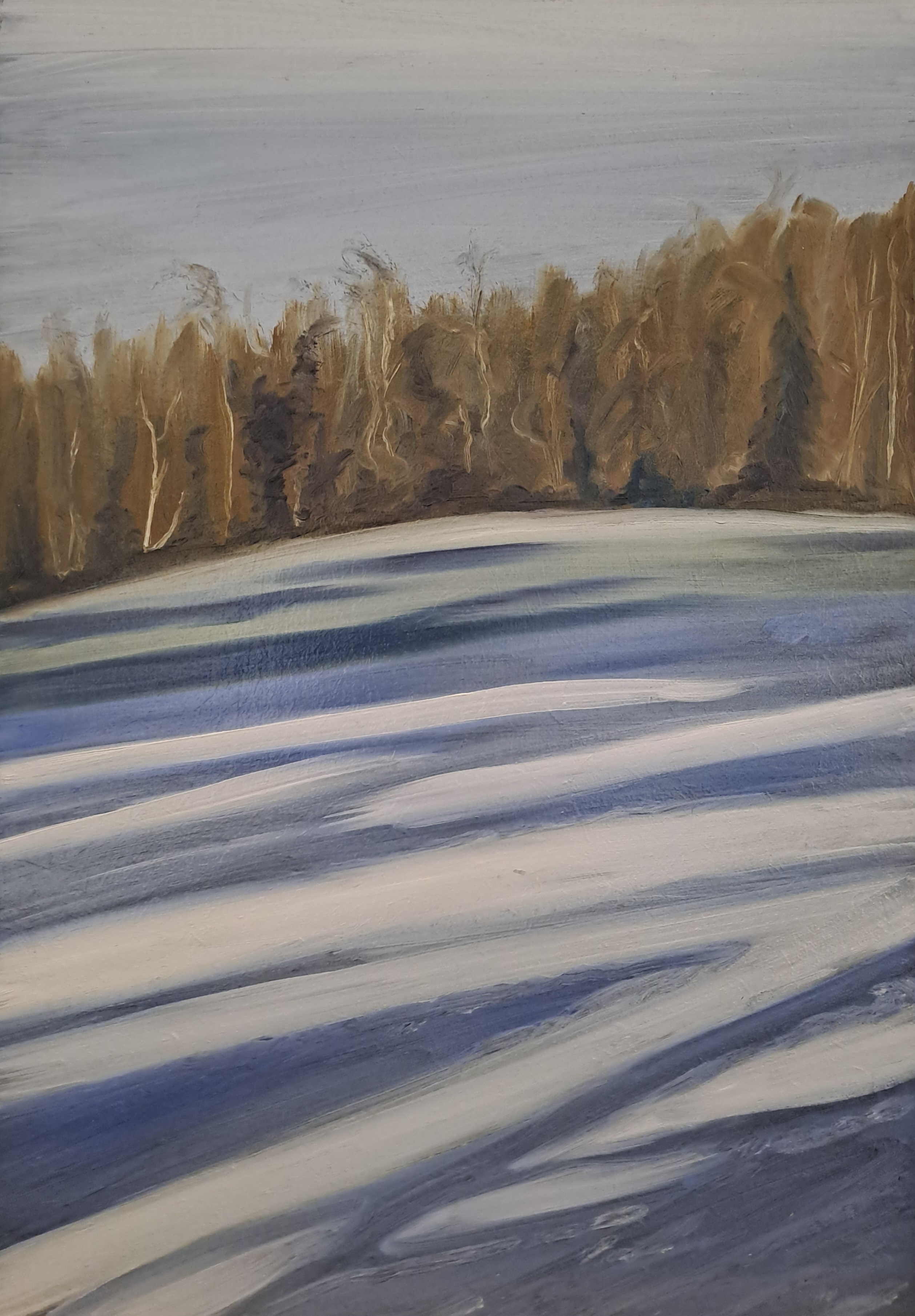 Januarschnee, 202522 x 32cm, Öl auf MDF