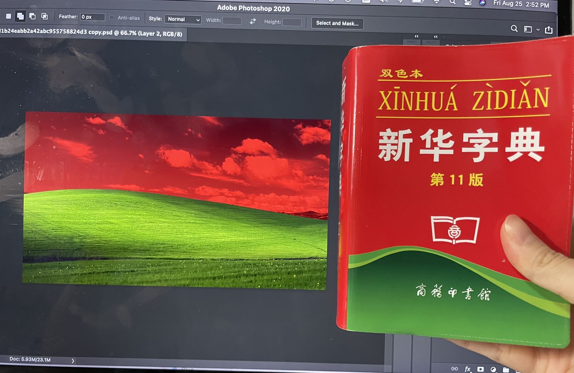 编纂世界  Virtual Worlds