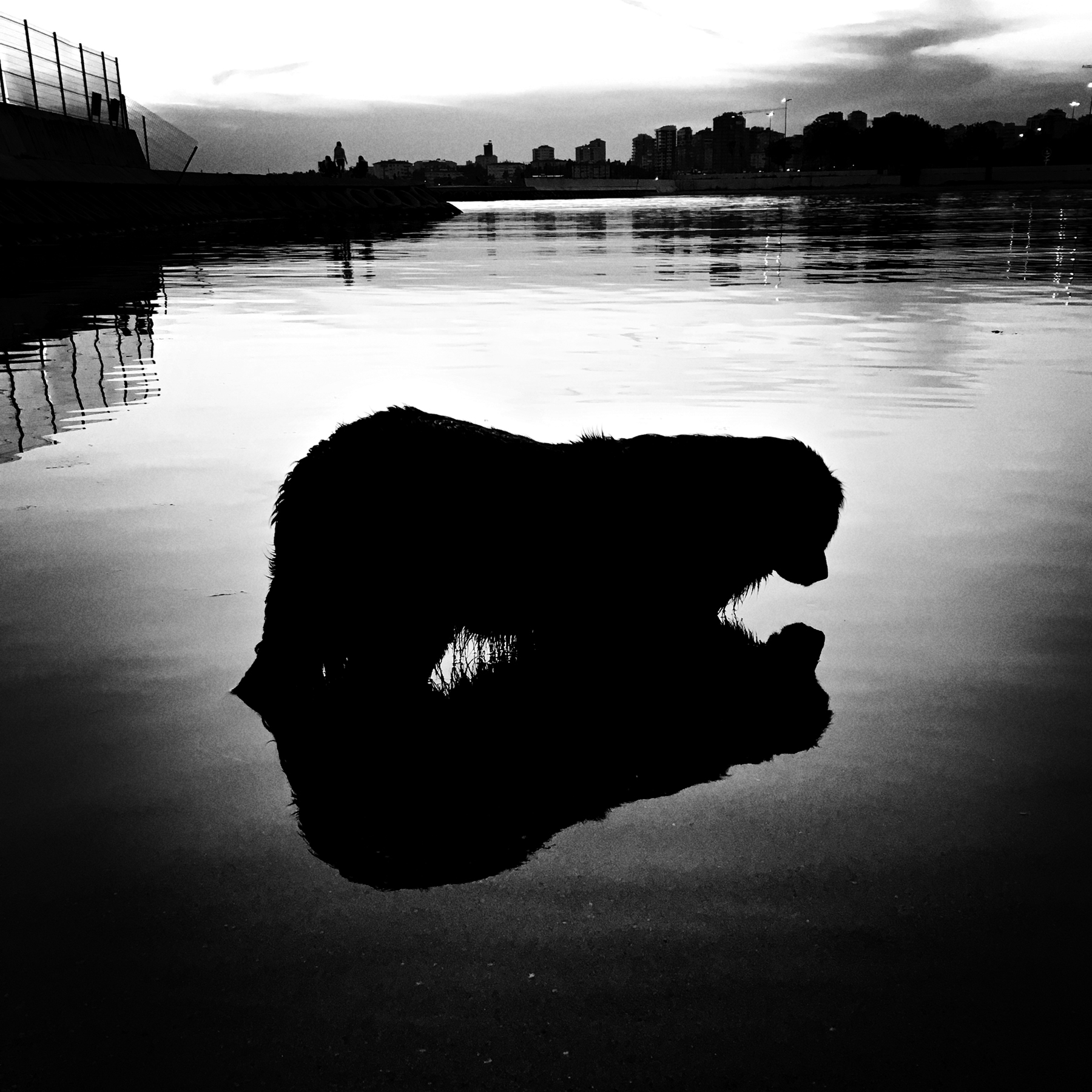 Soul Mate • 20x20cm • 10 editions