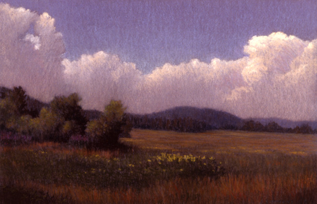 P1.56 - Summer cumulus