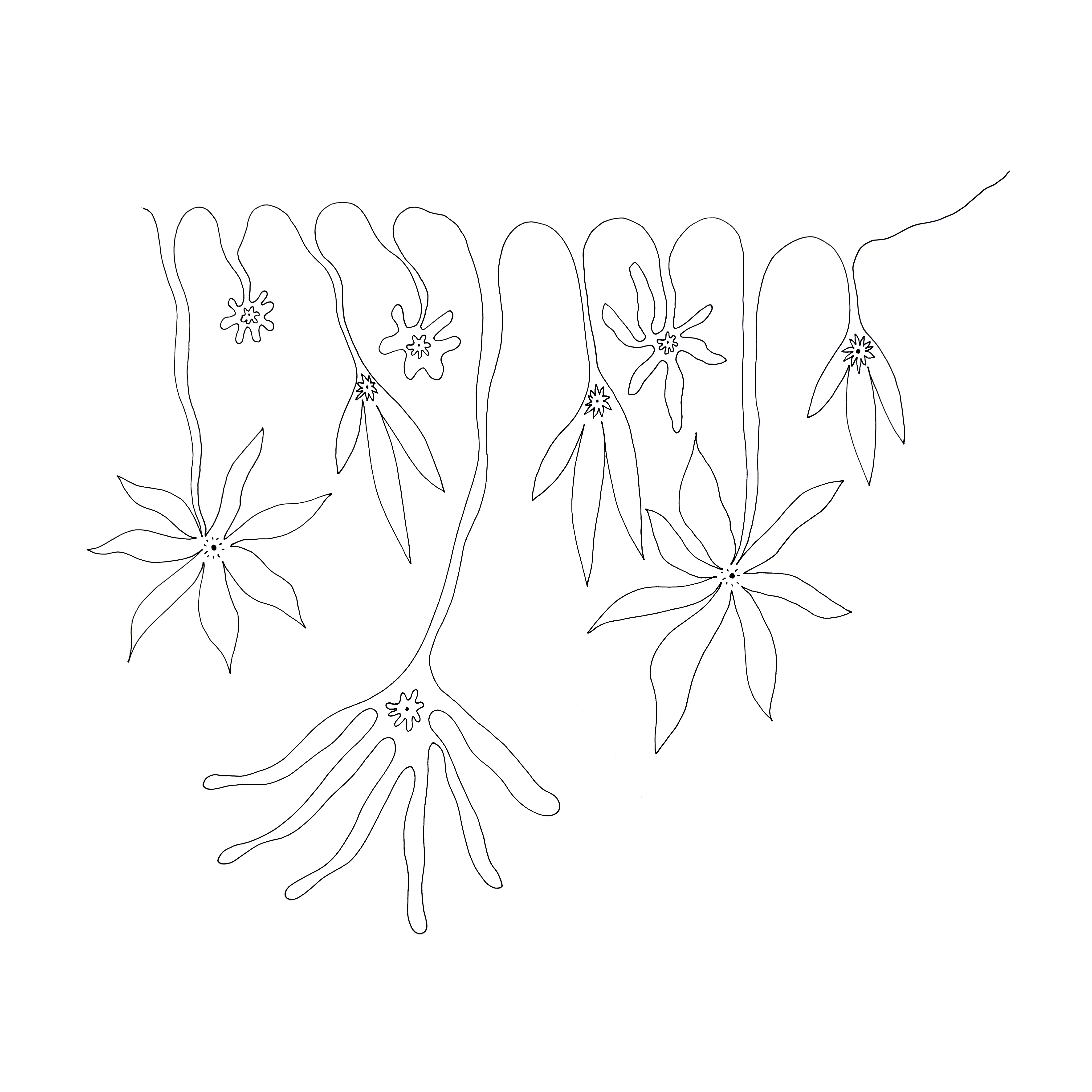 Flower bloom, Earth risen✨