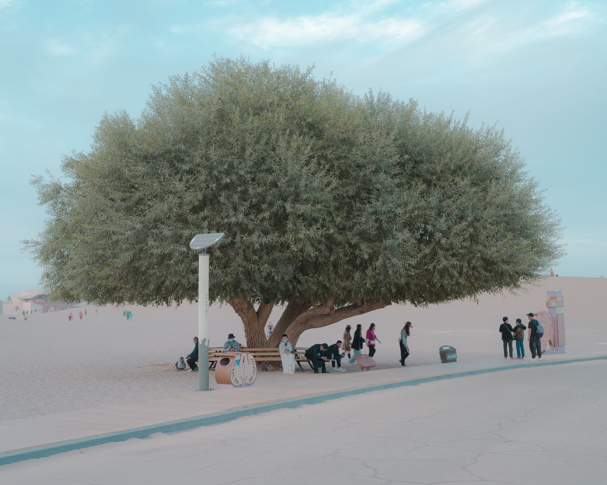 Tenderness in the vastness, 2021