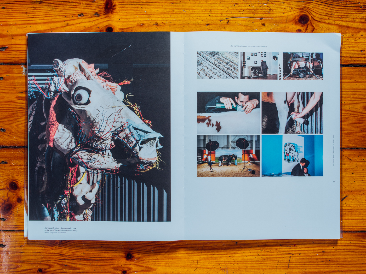 NTU Internation Photography Award, Singapore 2017 / Ausstellungskatalog 3. Platz Dokumentarfotografie / Januar 2018