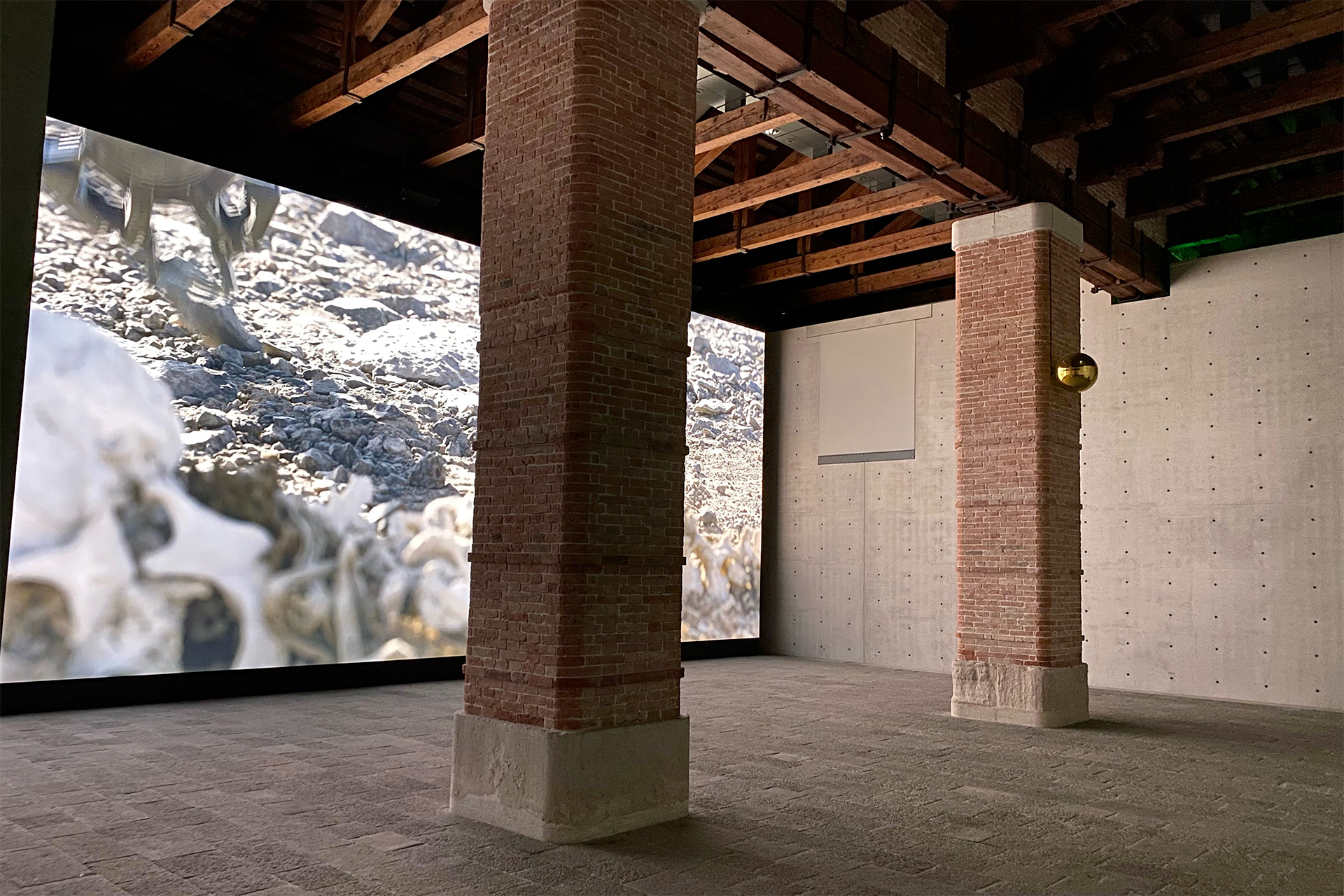 Pierre Huyghe, Luminal — Punta della Dogana - Pinault Collection, Venise, Italie