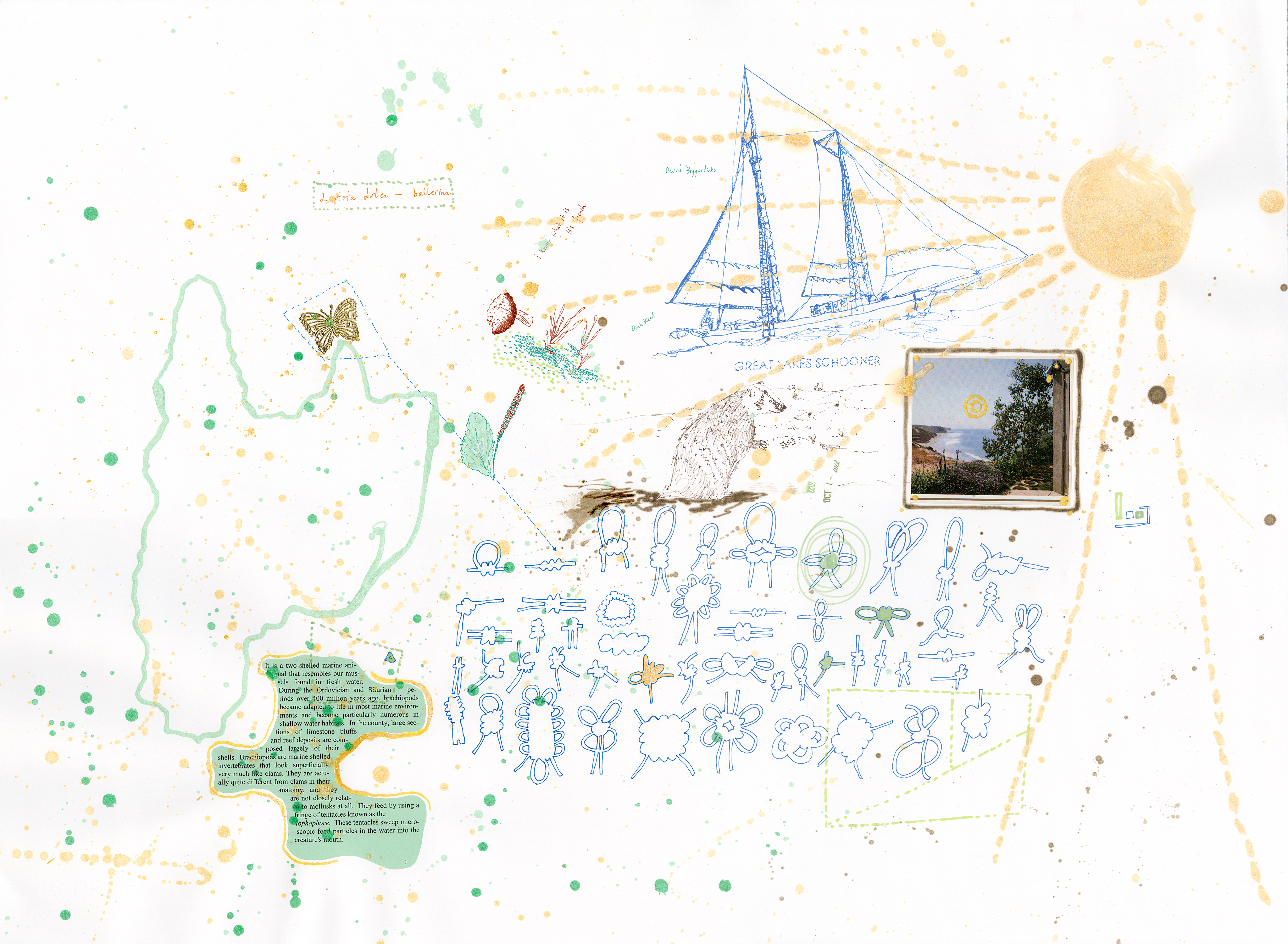 Drawing 49/56 from 56 days at the Dome House 22.5 x 30 inches, ink, Chine-collé, etching and stamps on Arches 88 paper - BUY