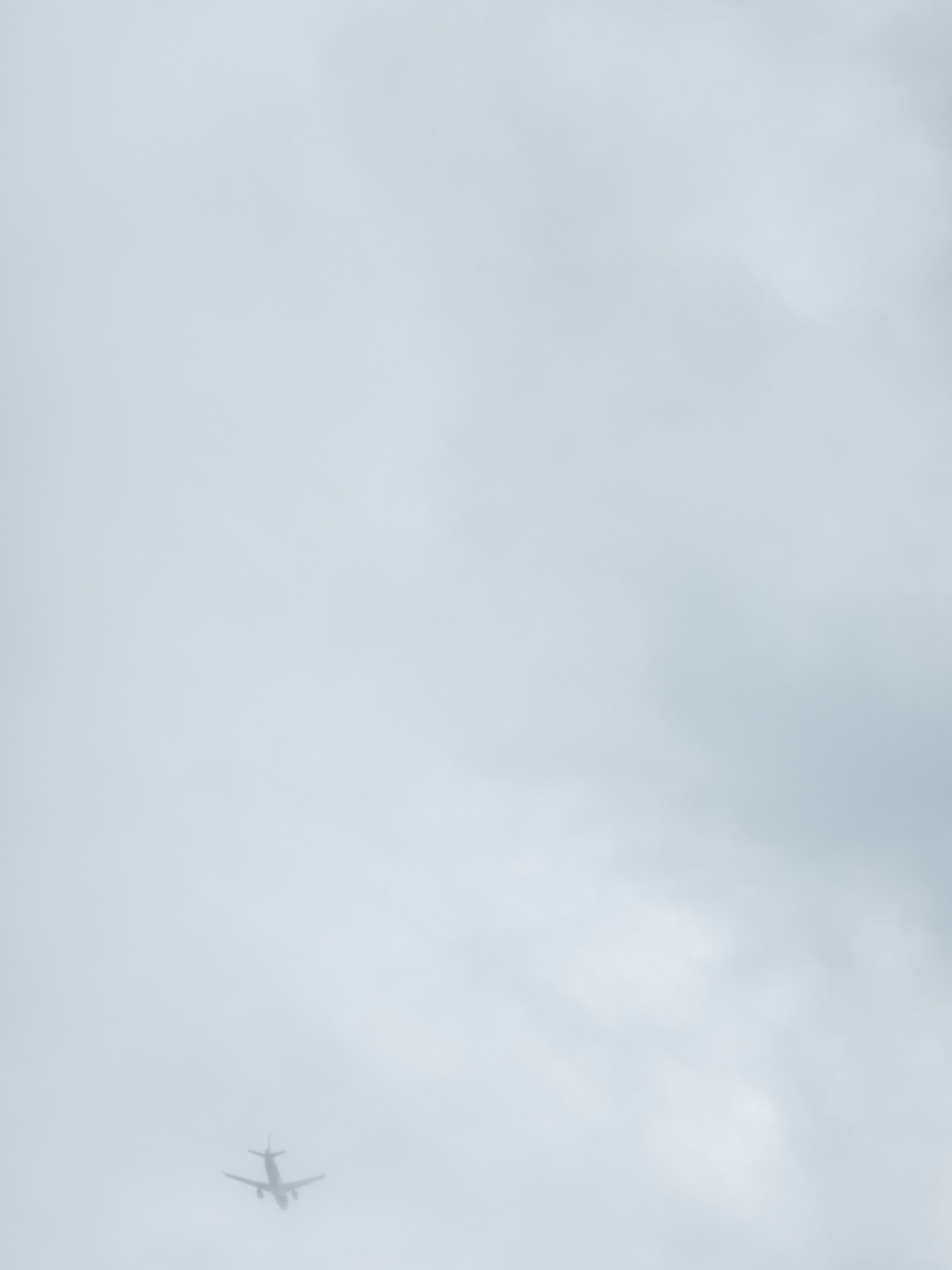 18/61