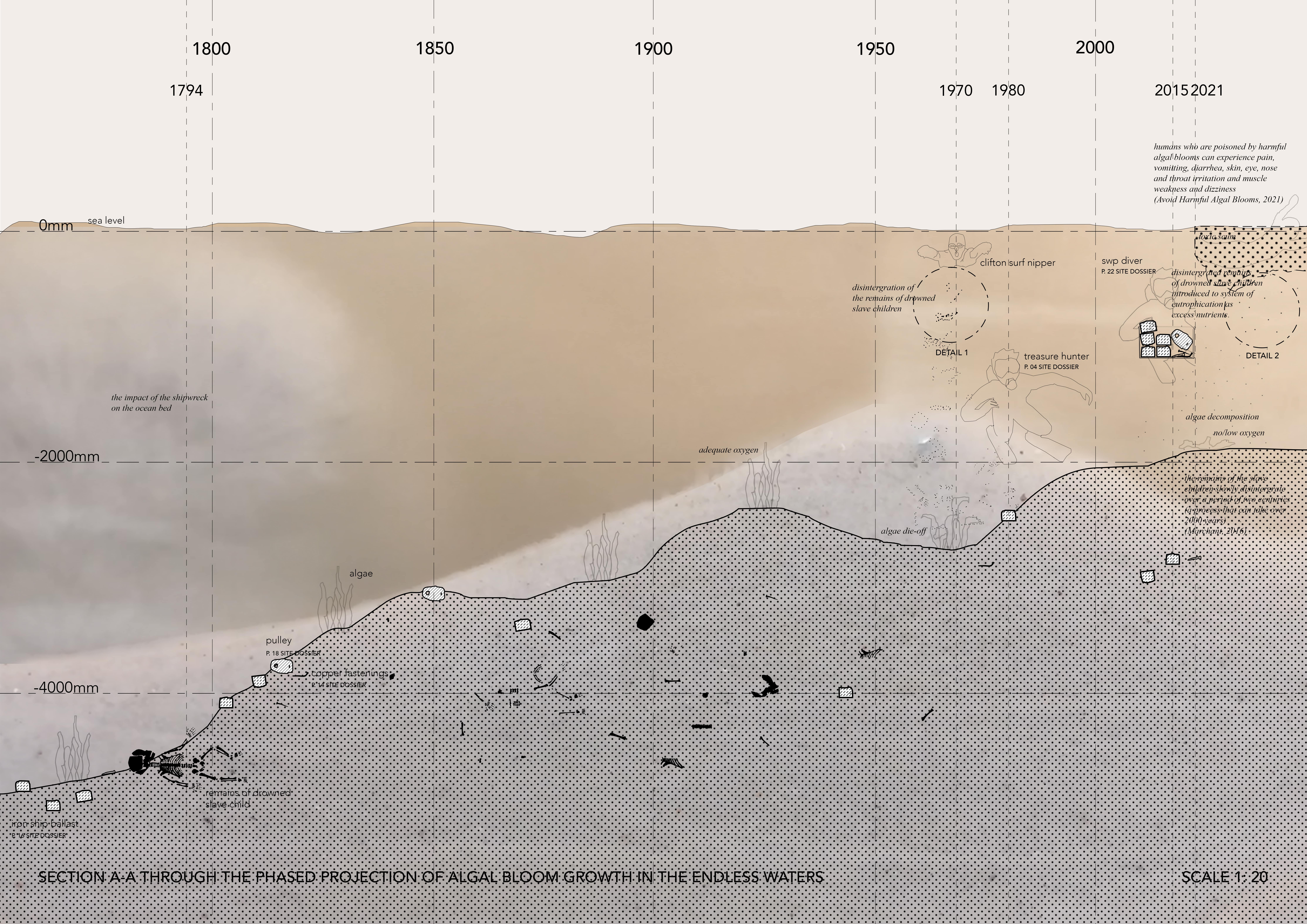 Section A-A through the Phased Projection of Algal Bloom Growth in the Endless Waters. Ndziba, M. Unit 19. 2021.