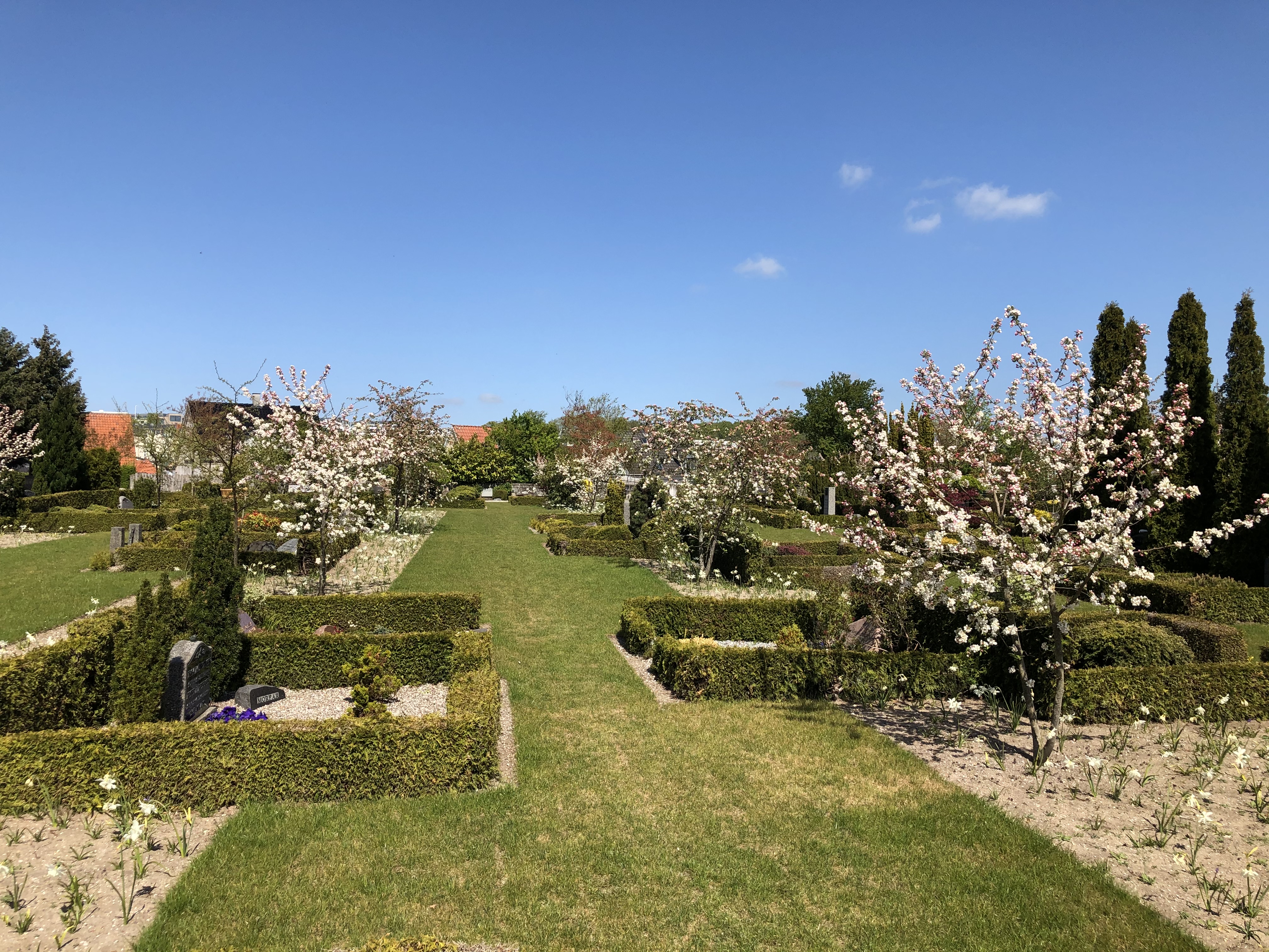 Skanderup Kirke. De eksisterende gravsteder ligger nu i en smuk klippet plæne med brede bånd af langt græs med løg og blomster. Nyt og gammelt flettes sammen