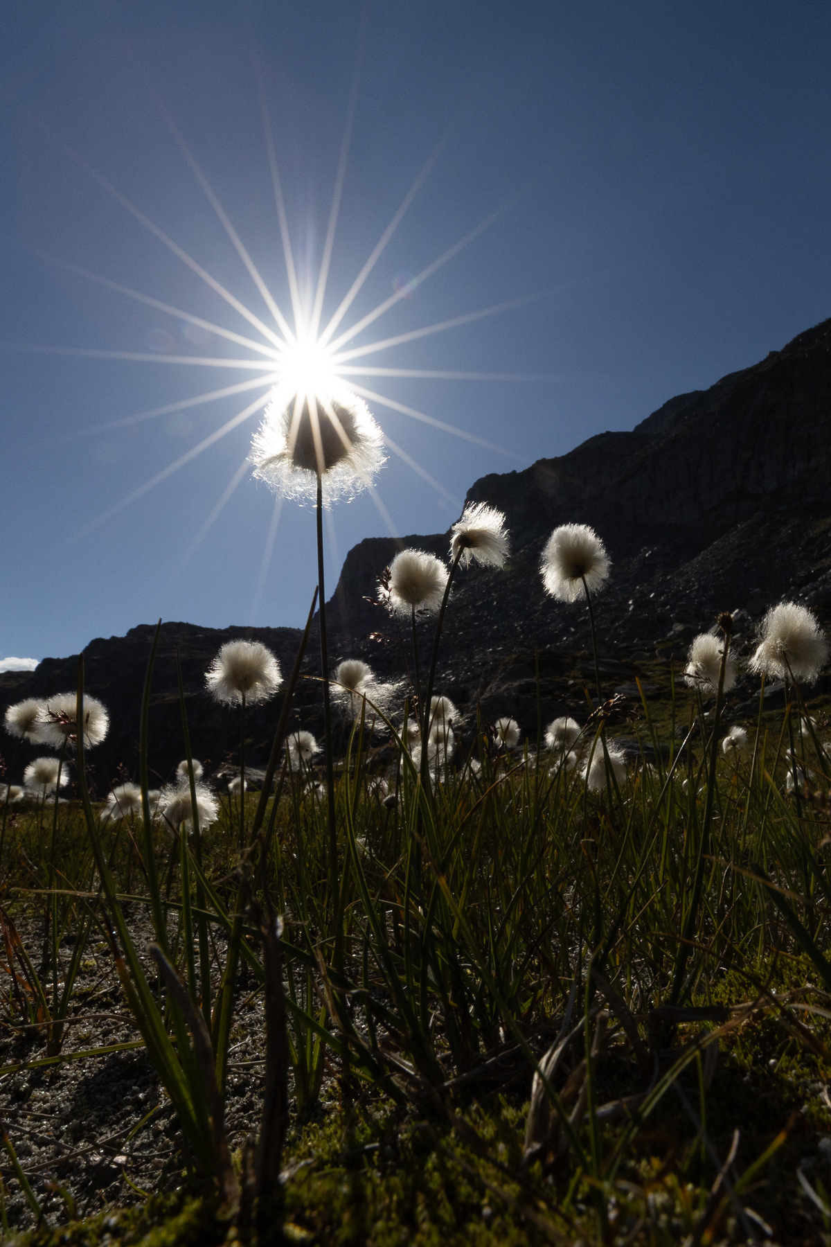 Wallis, Switzerland, 2023