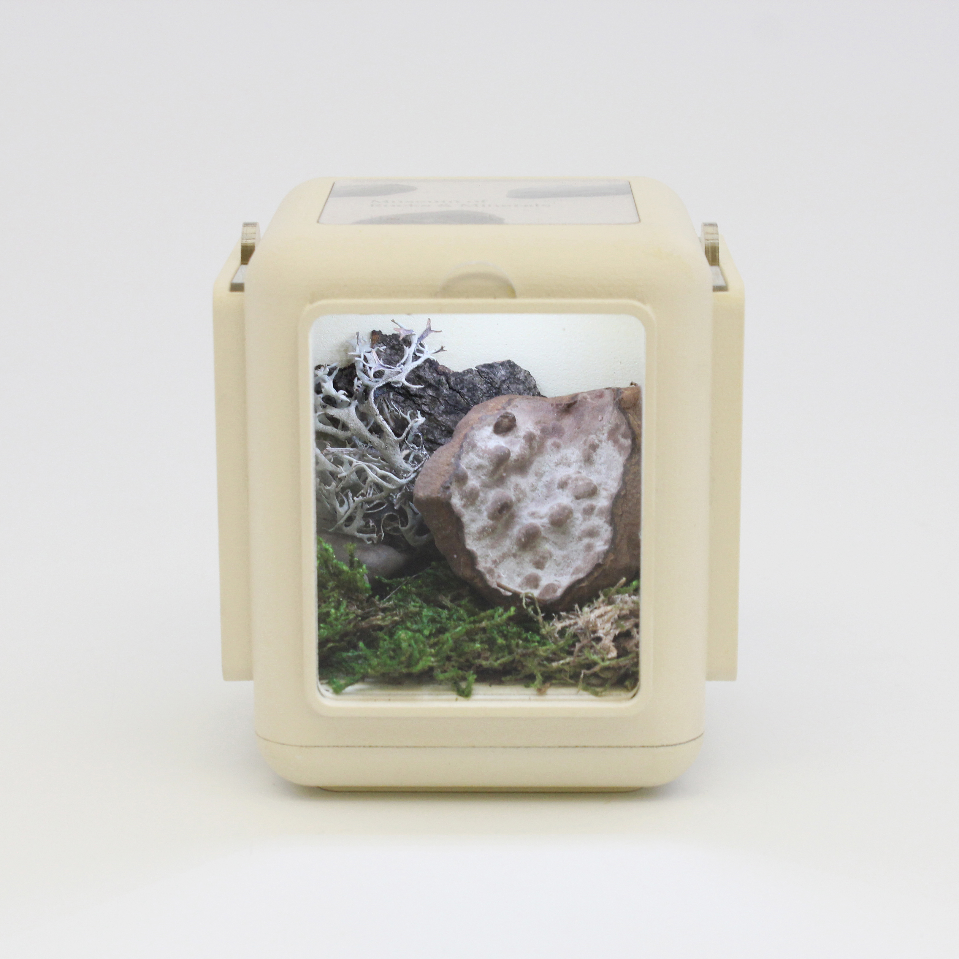 01. Rocks & Minerals