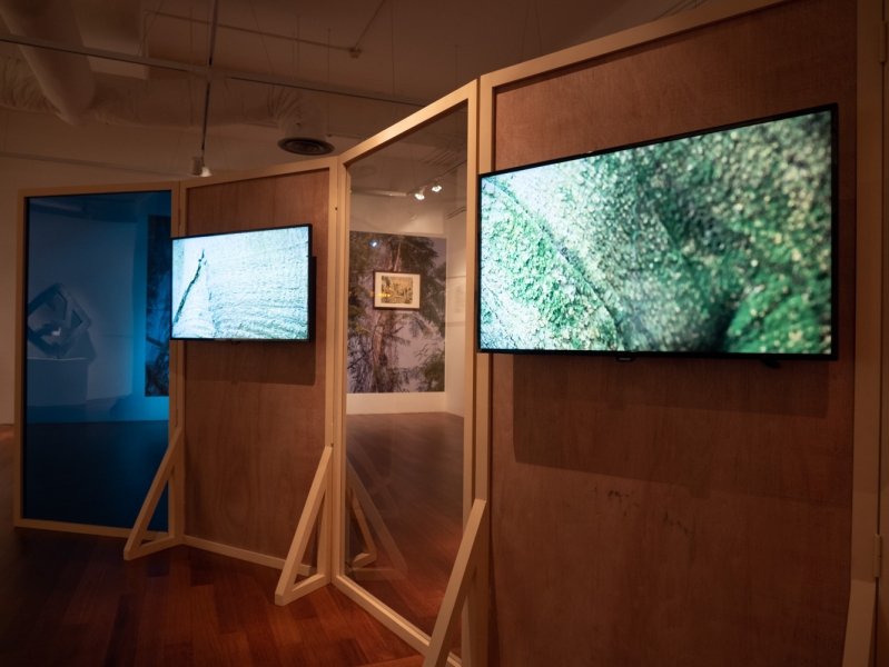 Installation view: NUS Museum