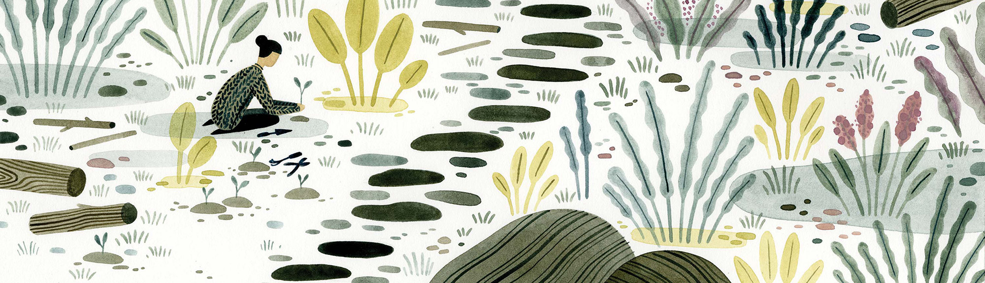 Illustrator : Maggie Chang