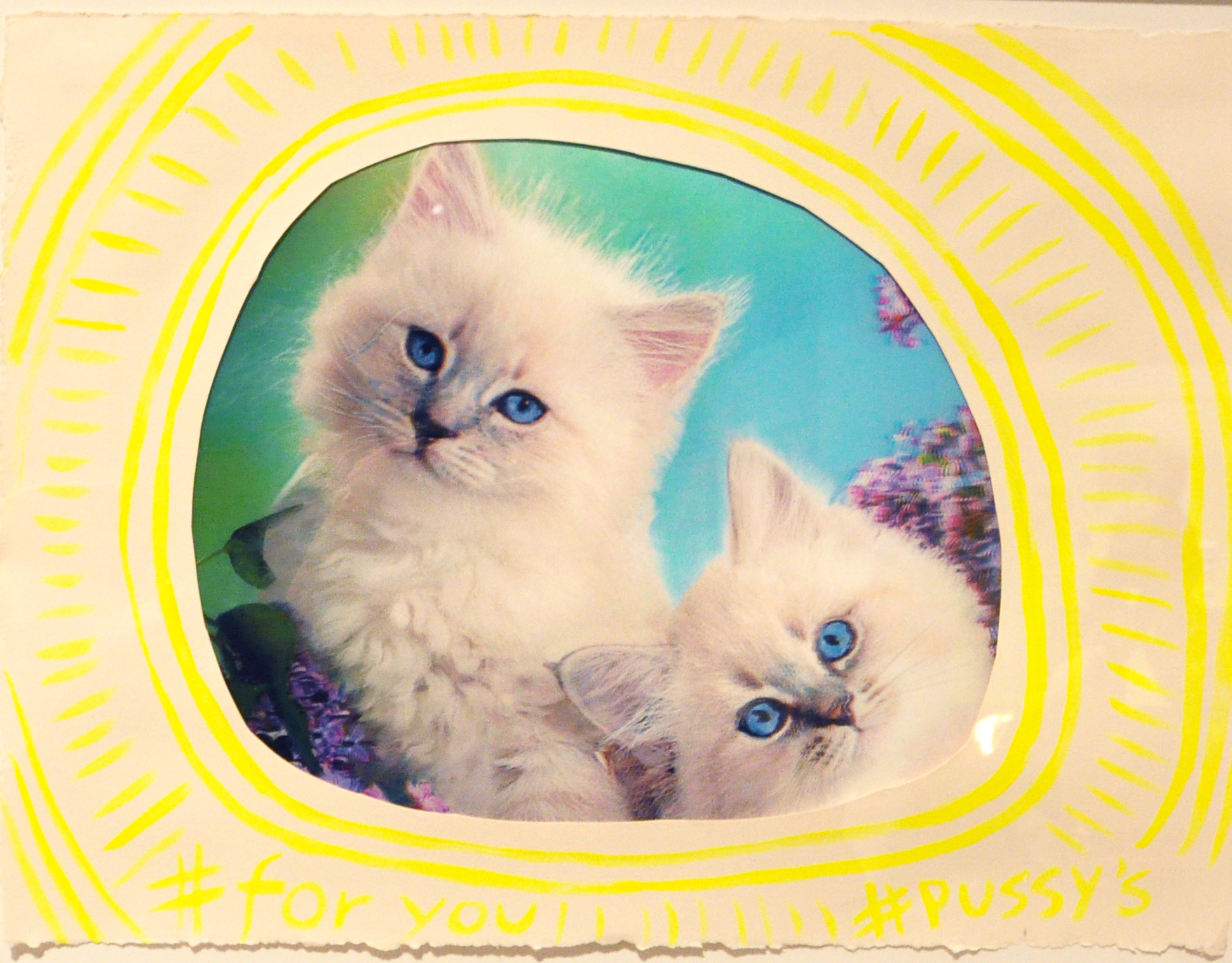 #for you #pussy's