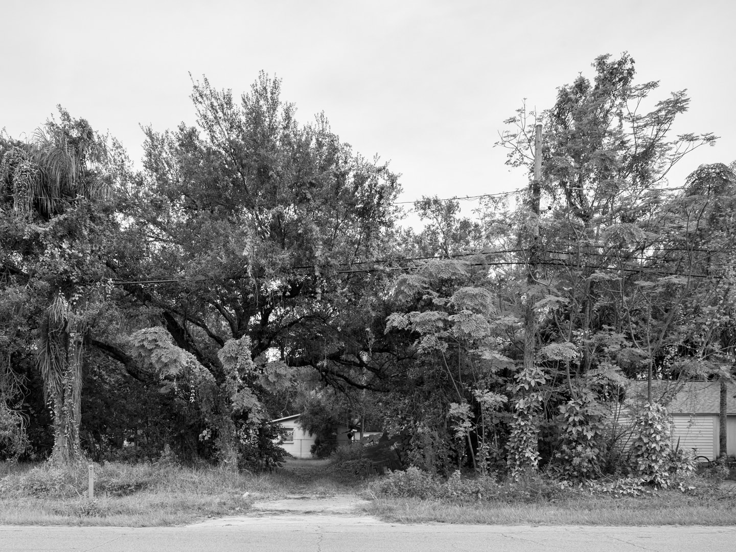 E 142nd street, 2015