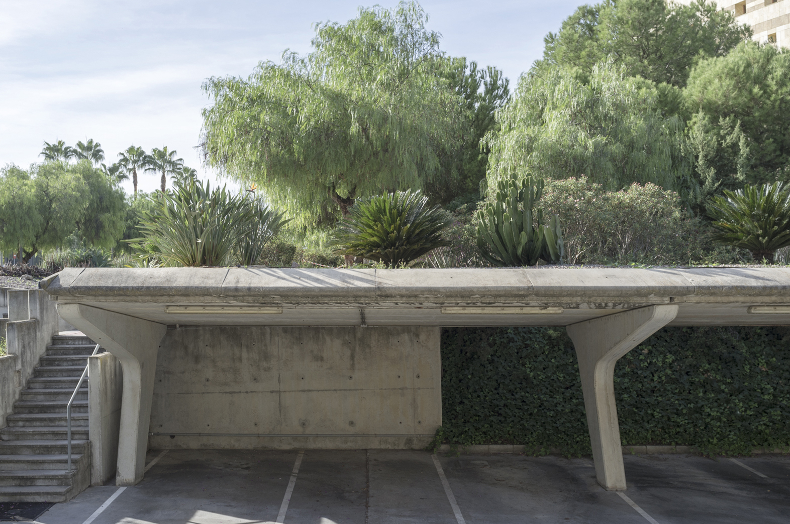 Fotografía piedra arquitectura vegetación proyecto ensayo fotográfico