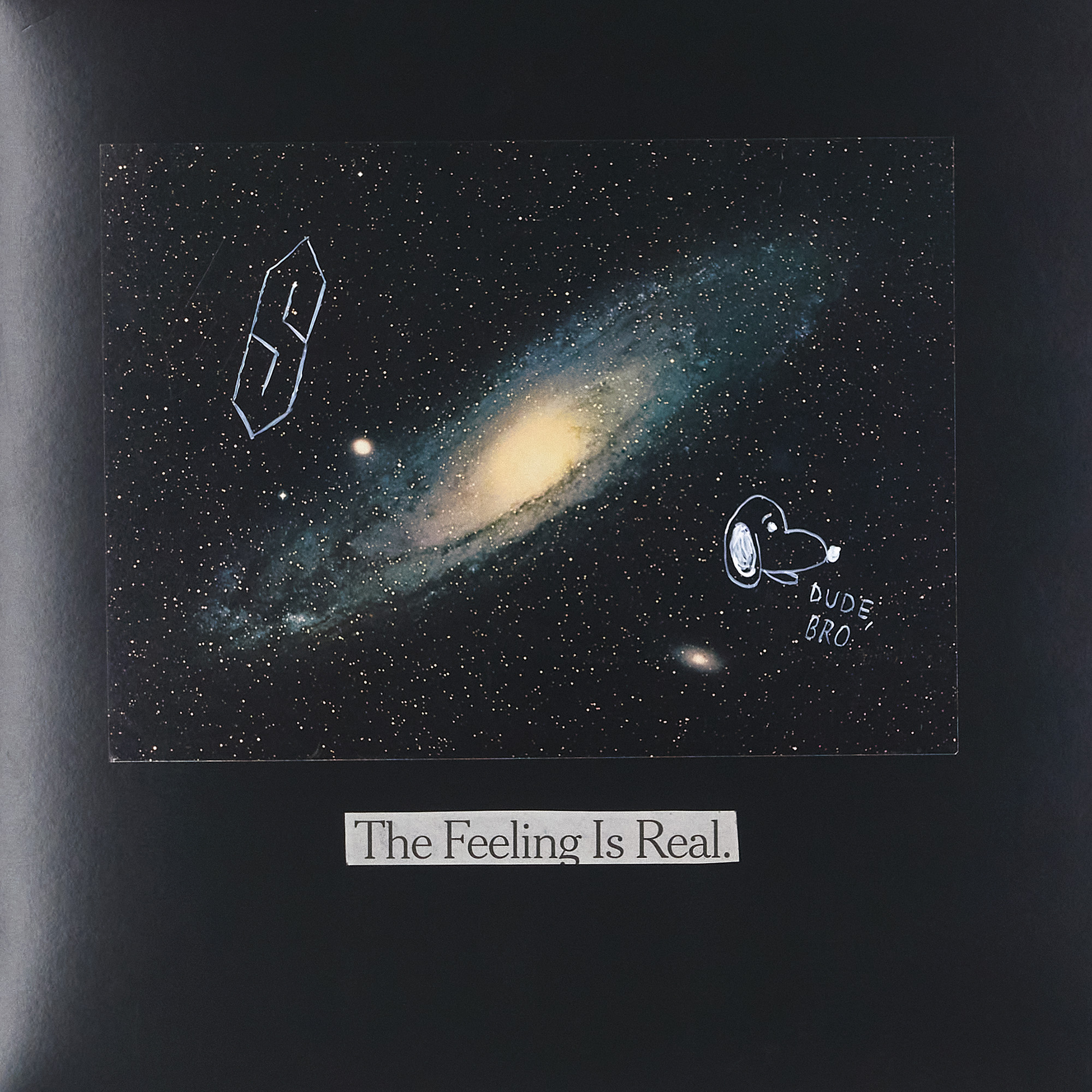 (2024) 12.25" x 12.25"