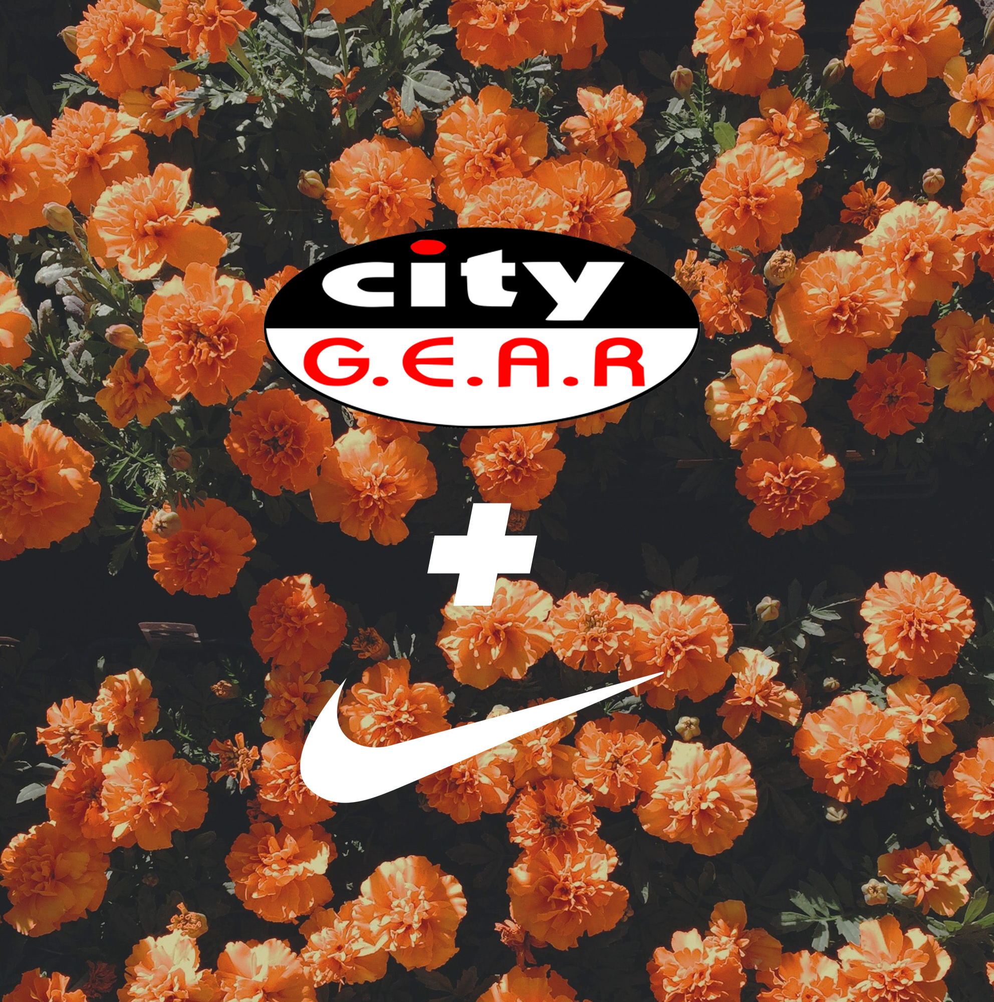 city gear + nike.