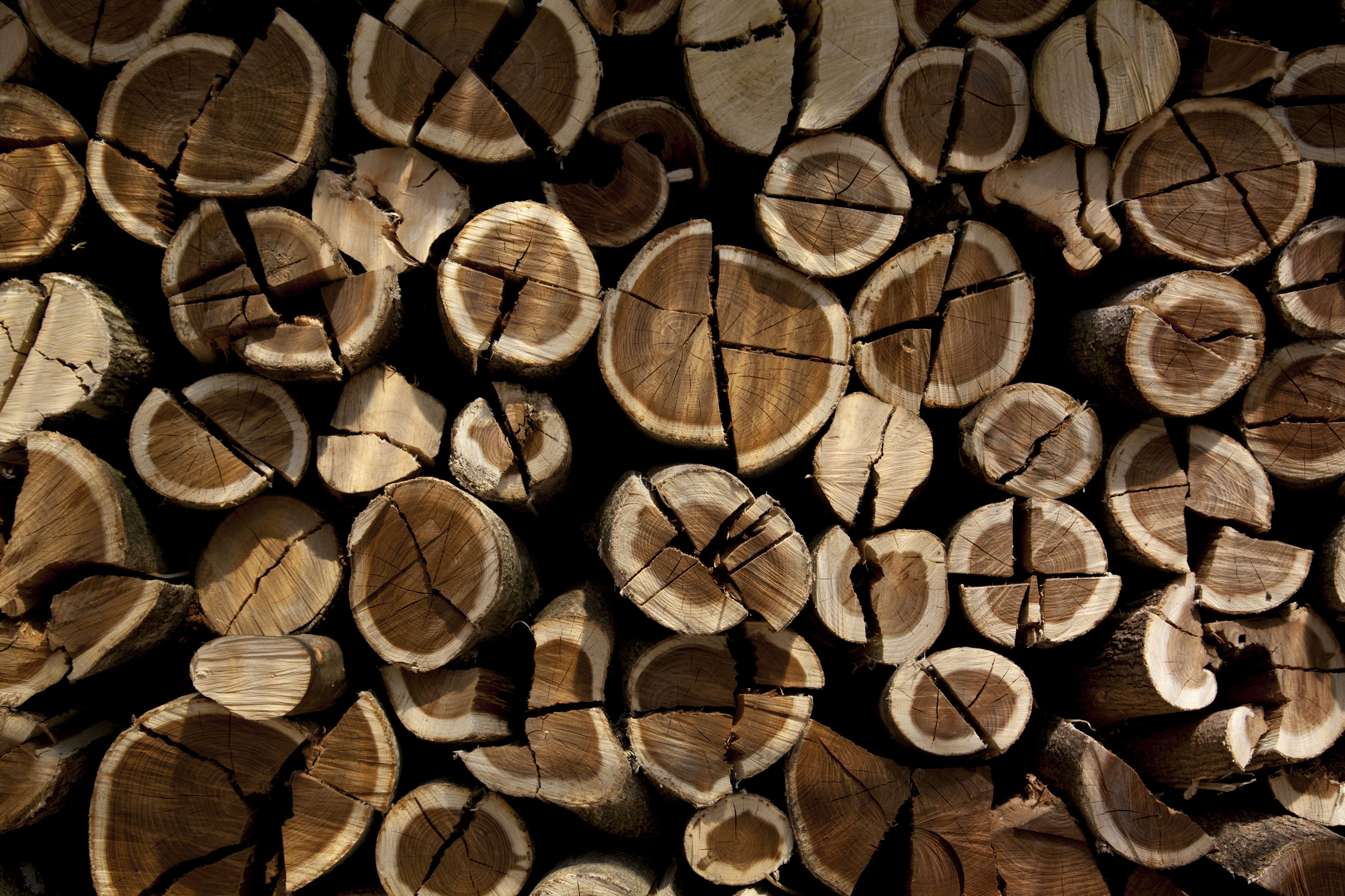 Lake Yamanaka, Japan