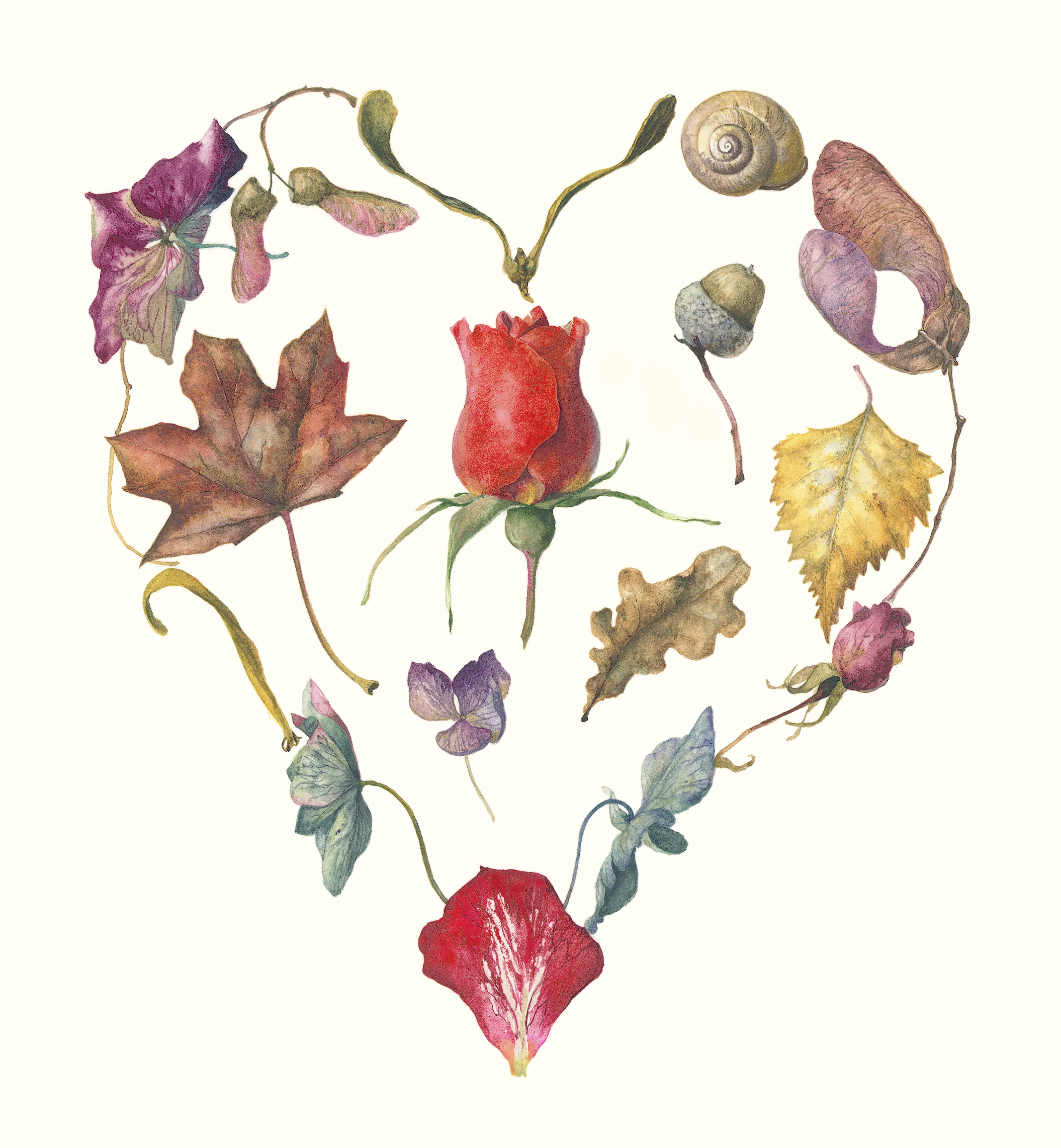 my heart rests in the garden