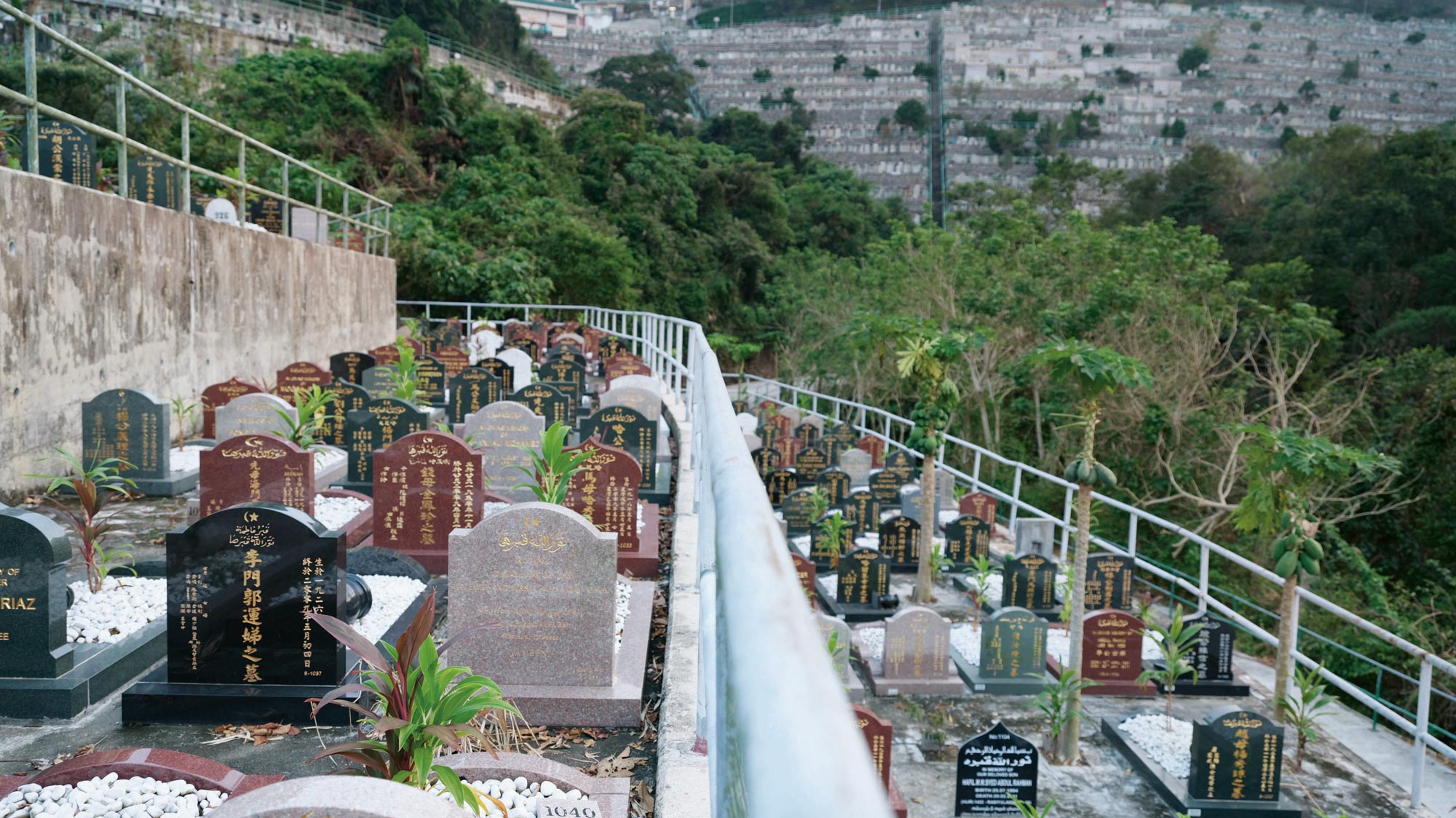 柴灣清真寺/清真墳場