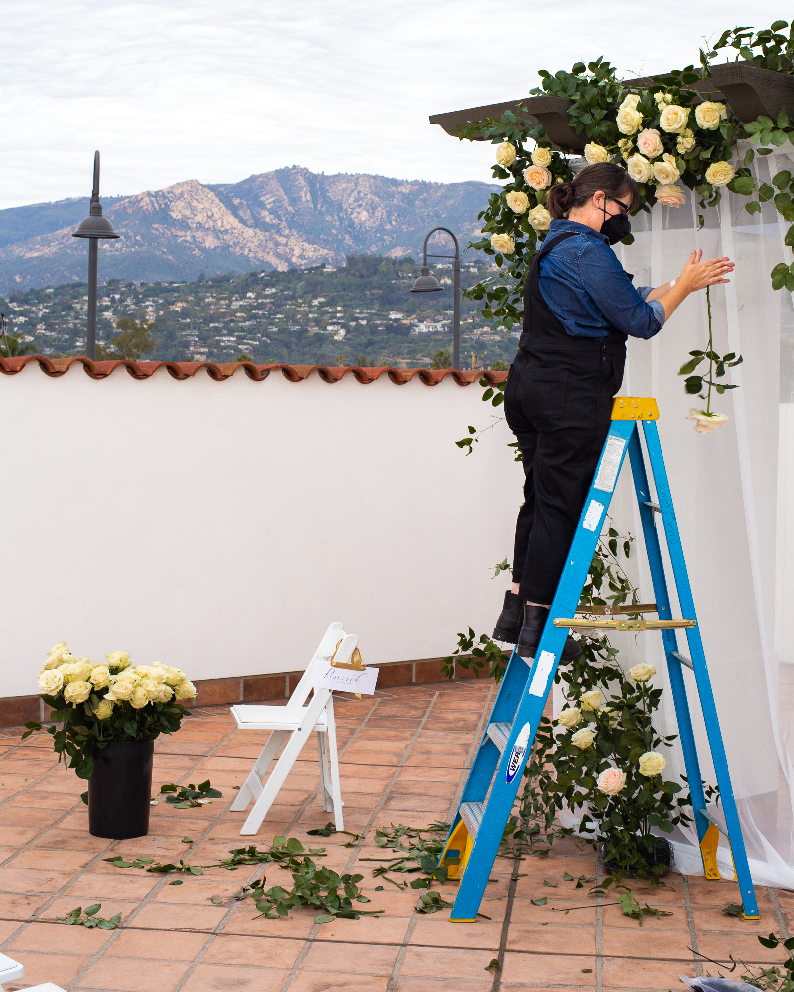 NYT: Where Have All the Flowers Gone?