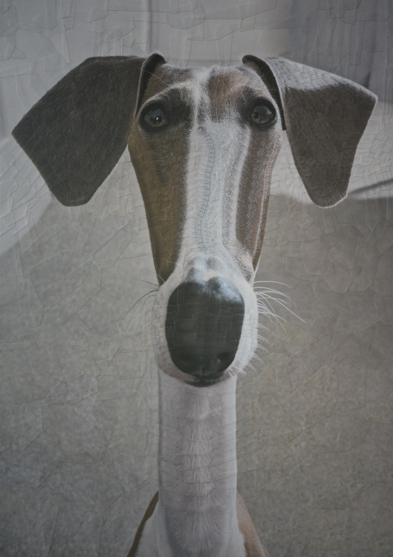 Eddie, 2021, 8.2 x 11.6 inches