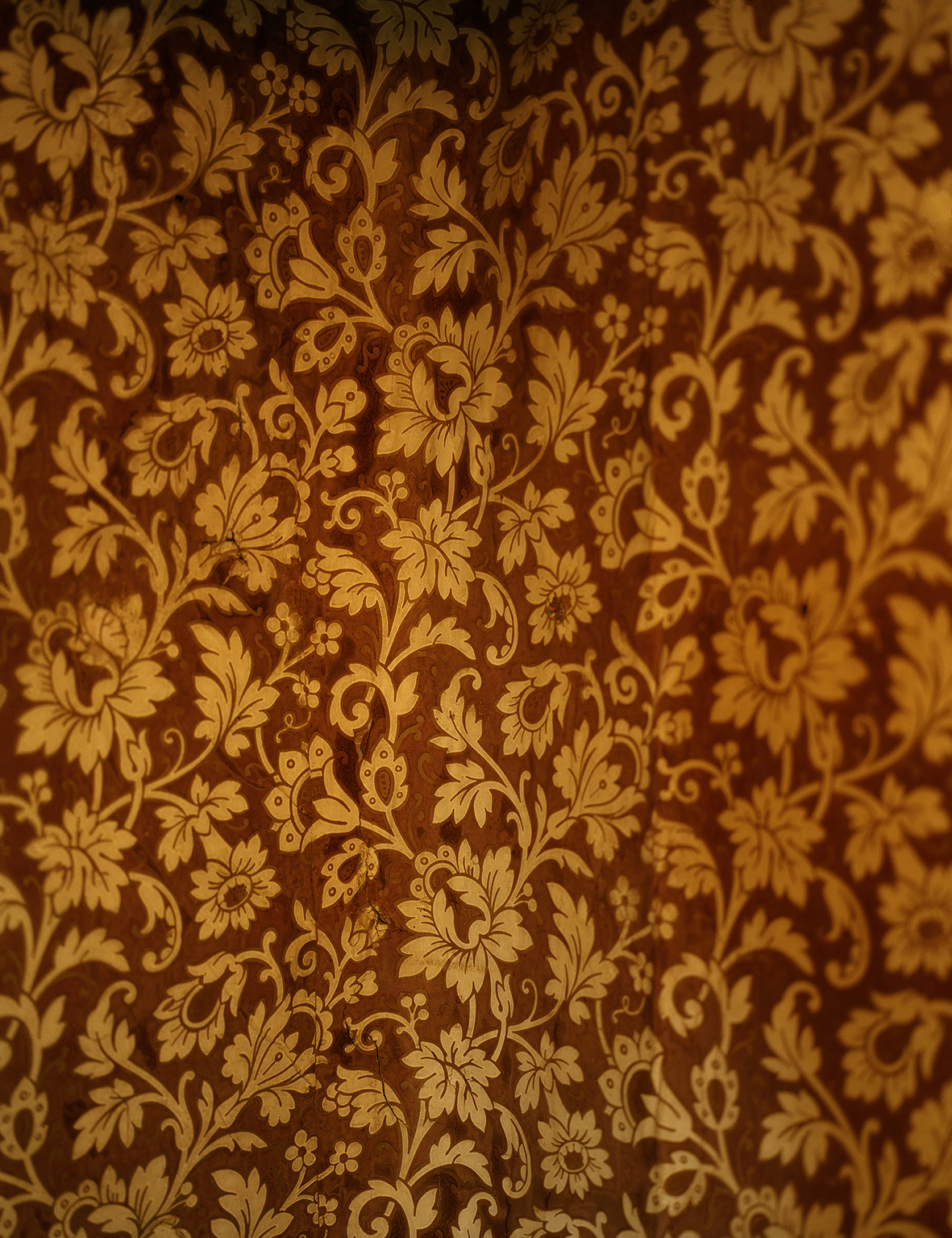 Limit of Function #3, 200x200 cm  Risograph