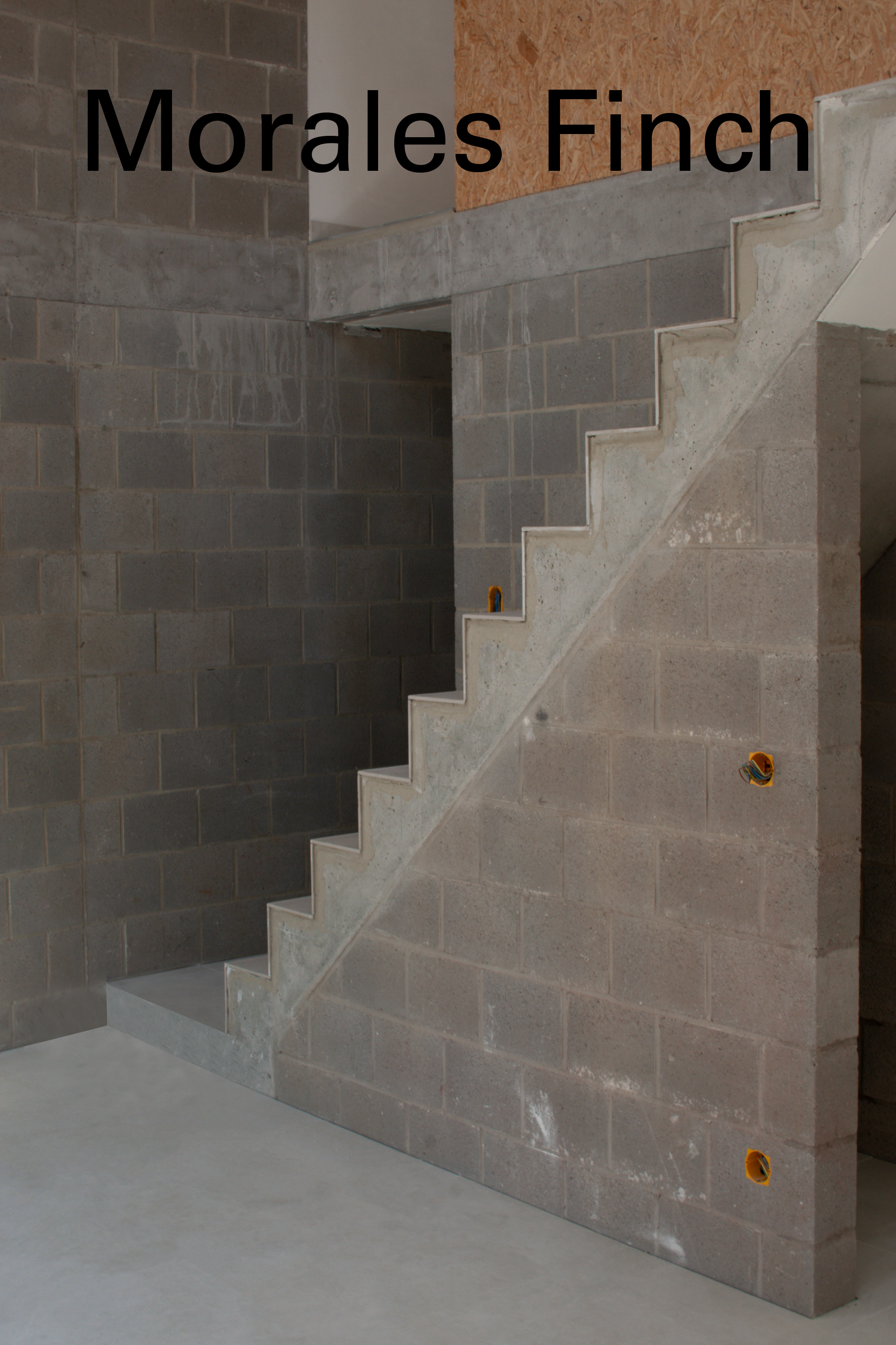 A pair of family dwellings, Wavre, 2021