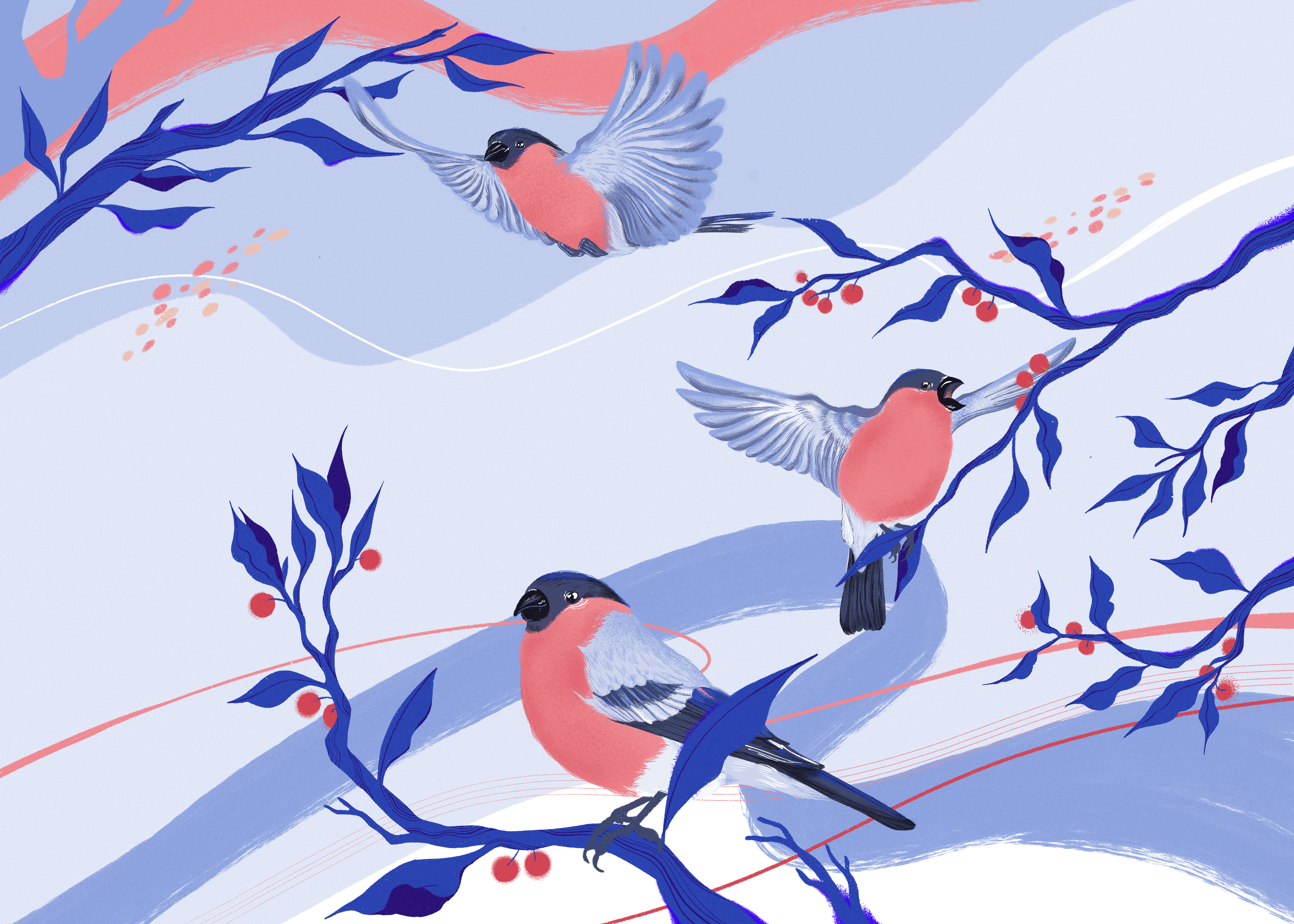 Bouvreil pivoine pour Grand Quevilly