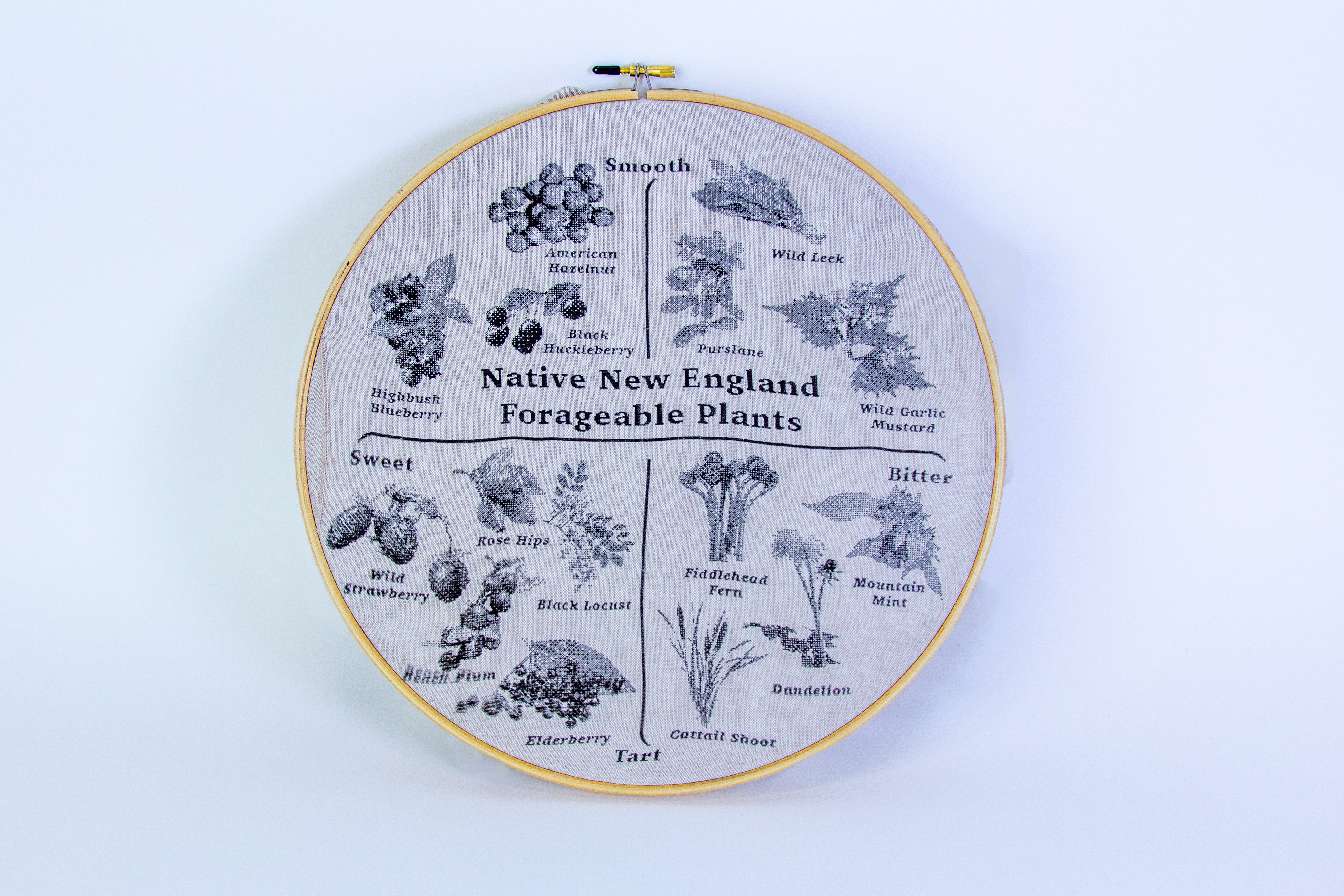 Foraging Taxonomy; Fabric print, Embroidery Hoop; 12in x 12in; 2025