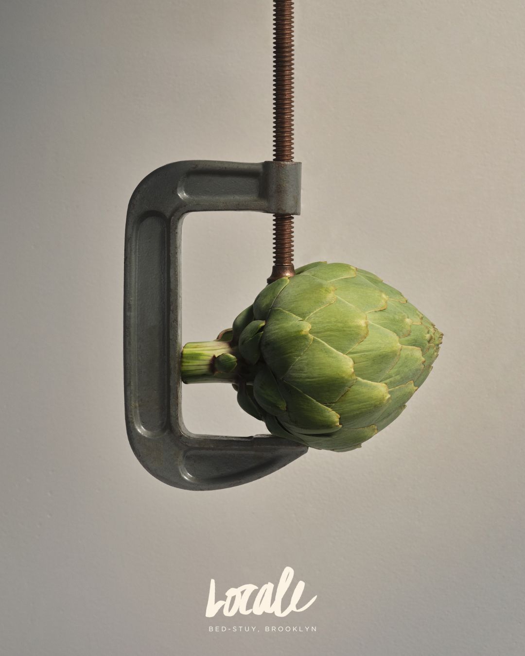 Brand Identity & Creative Direction for Locale NYC.