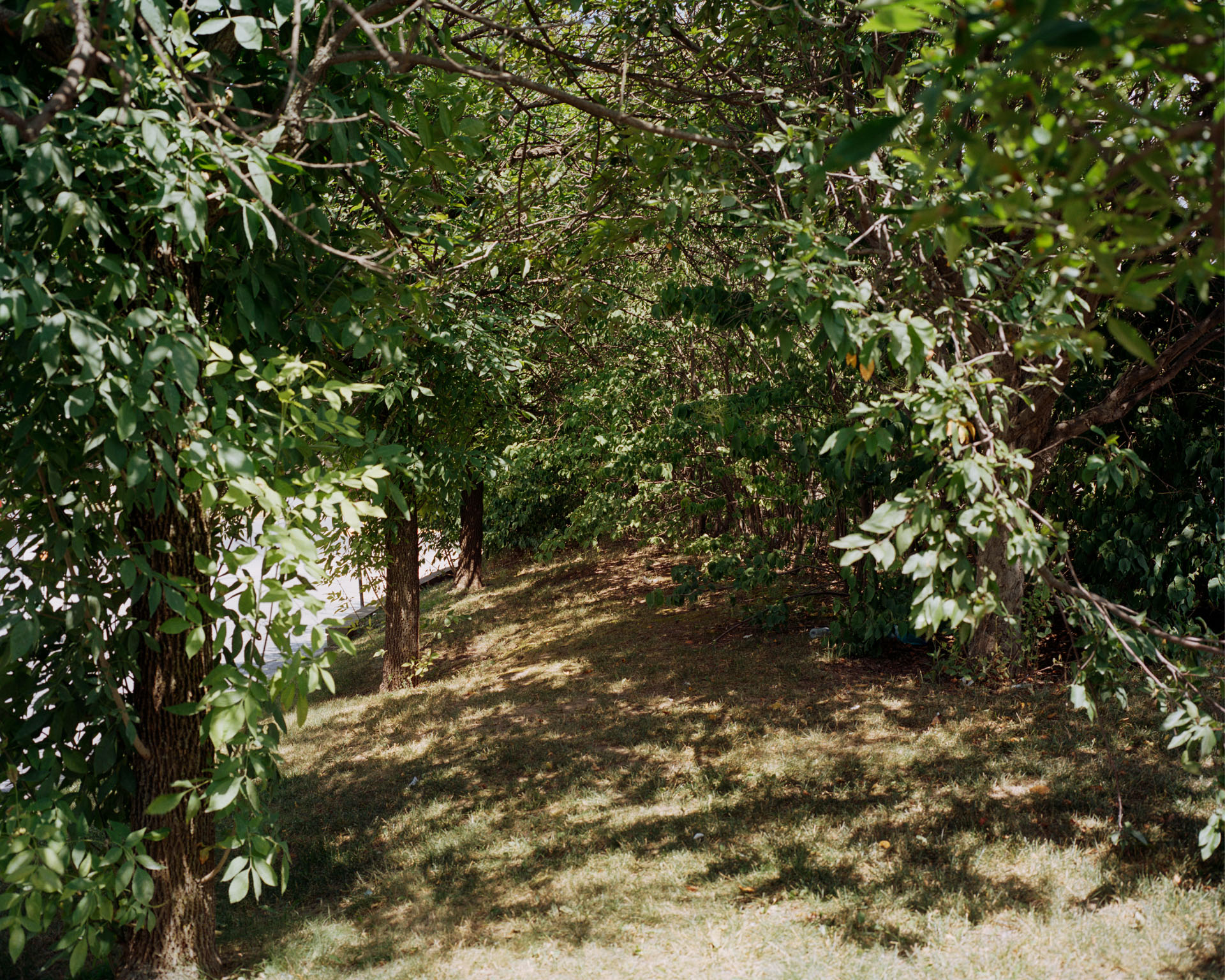 Terrain Vague on Conway Street, Summer 2019, 40 x 50 inches/pouces, digital inkjet print, impression jet d'encre numérique, Goose Village, 2022