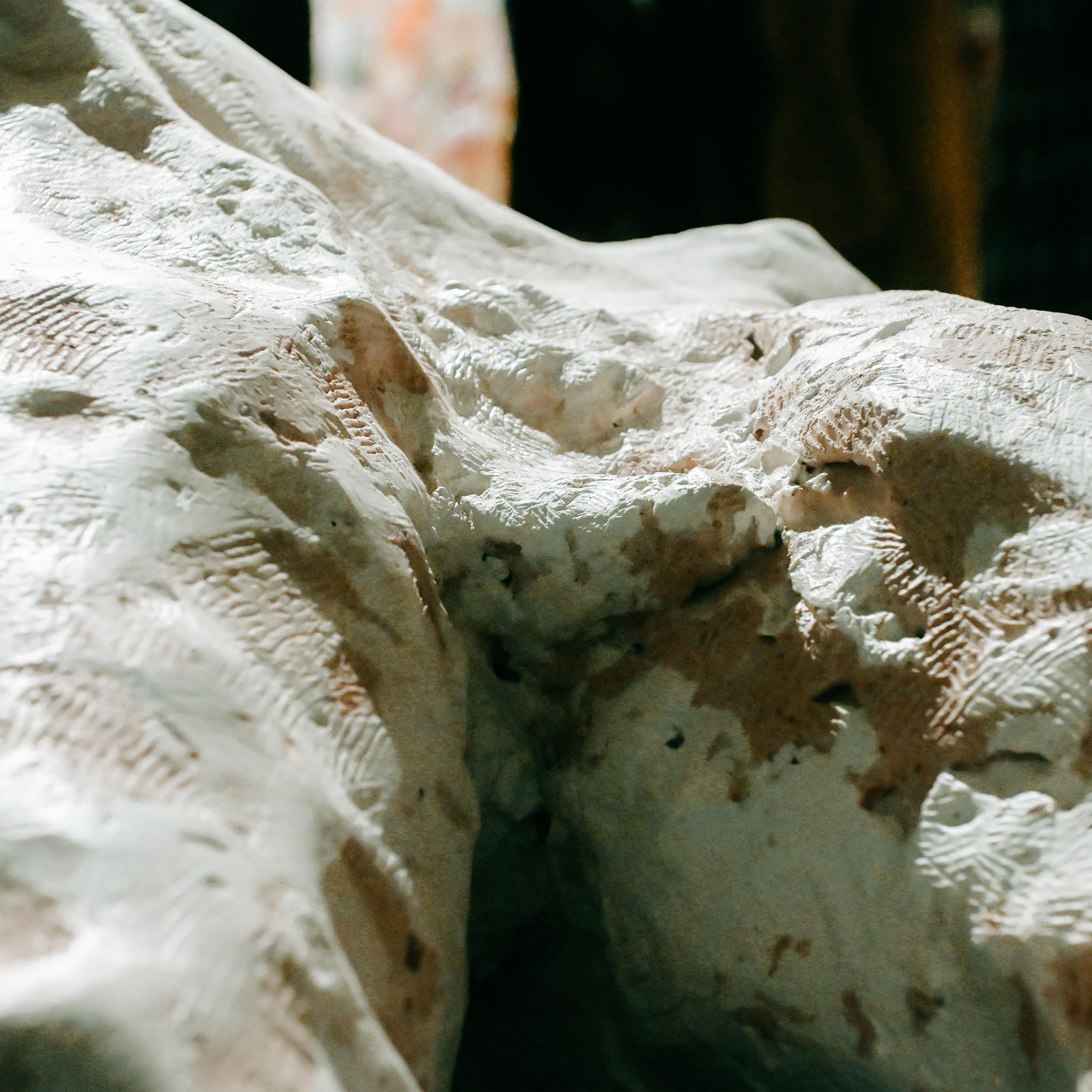 'Ixion's Legs. (Amputated.)' 2024