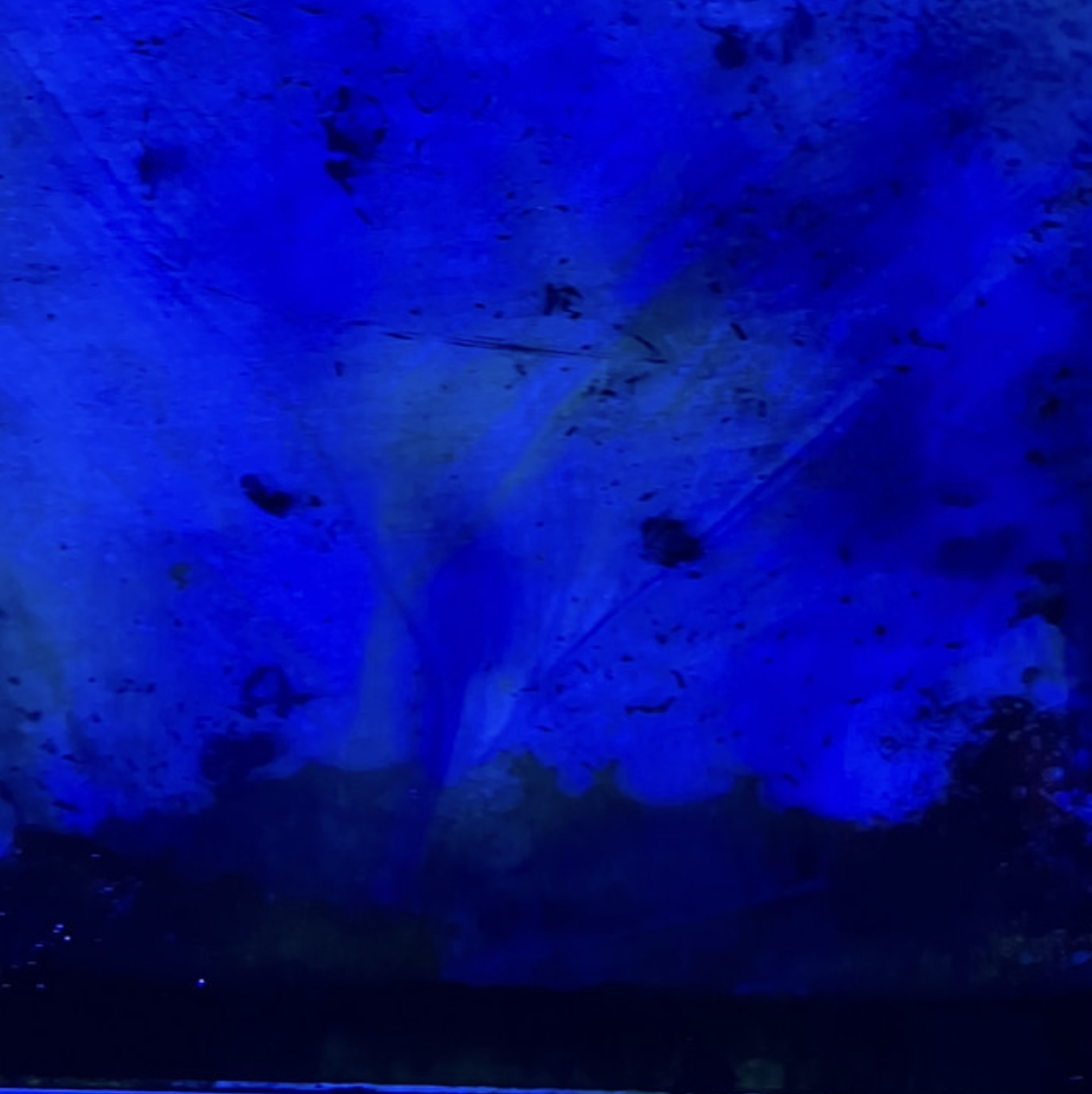 Into the Great North Wood / Fabienne Debarre