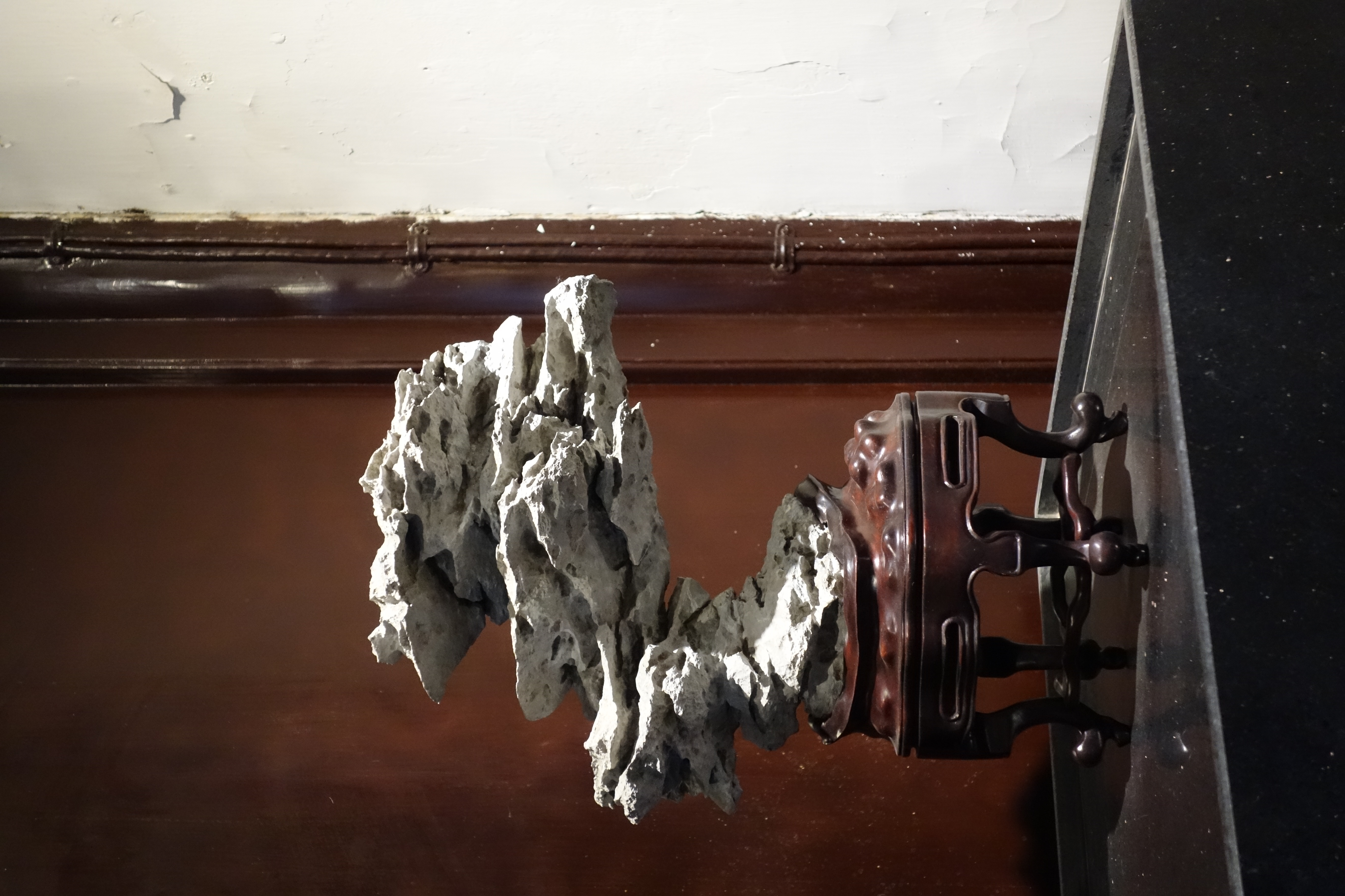 Gelehrtenstein im Löwenwald- Garten, Suzhou, 2019