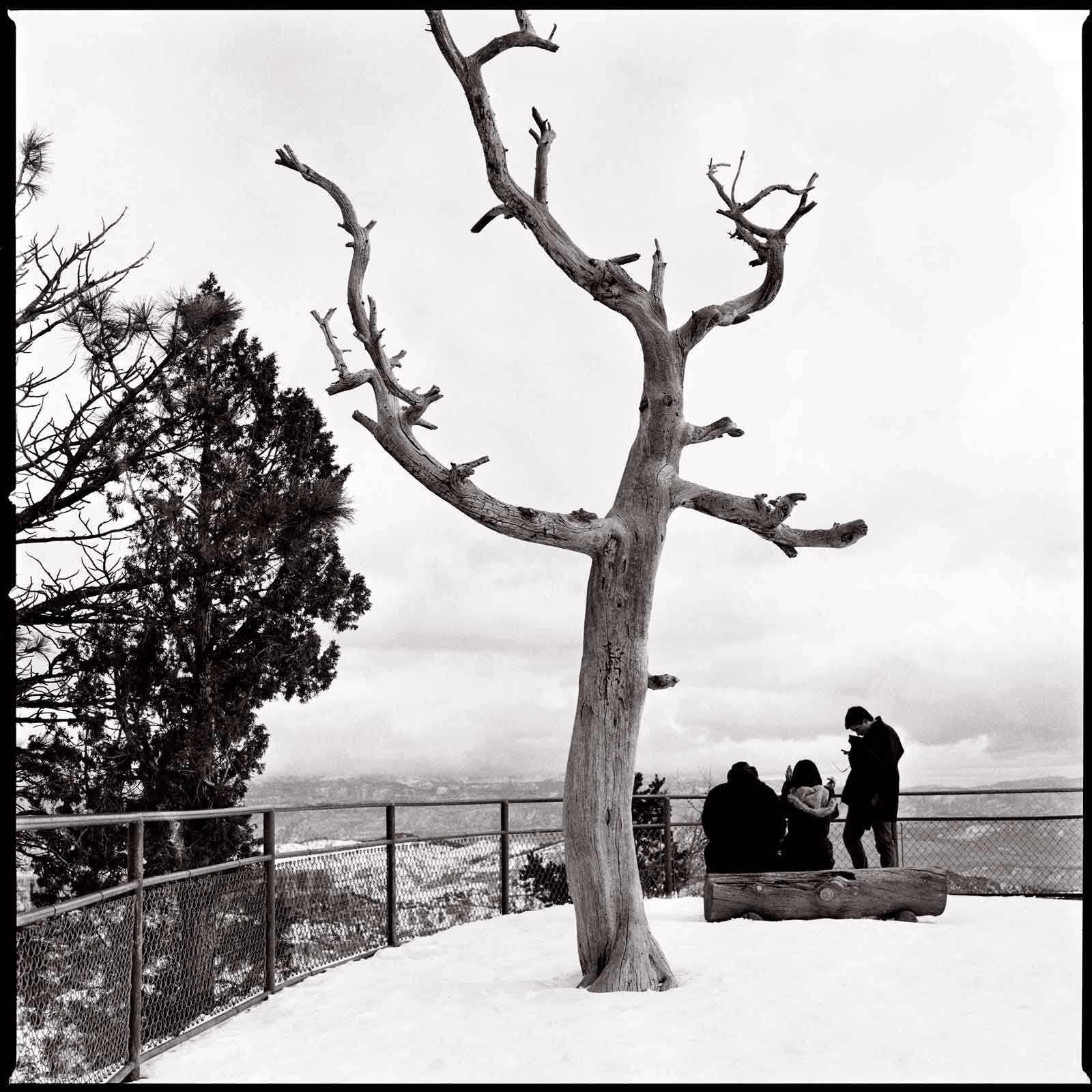 Bryce Canyon Viewpoint, Utah, 2016.