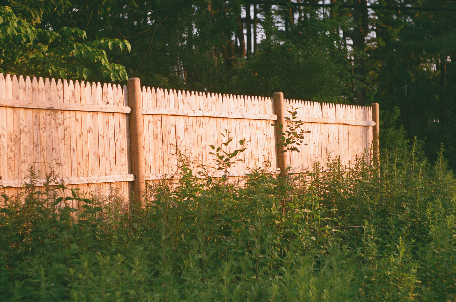 Some photos I took on the Zenit 14 from a summer trip to MA and NY