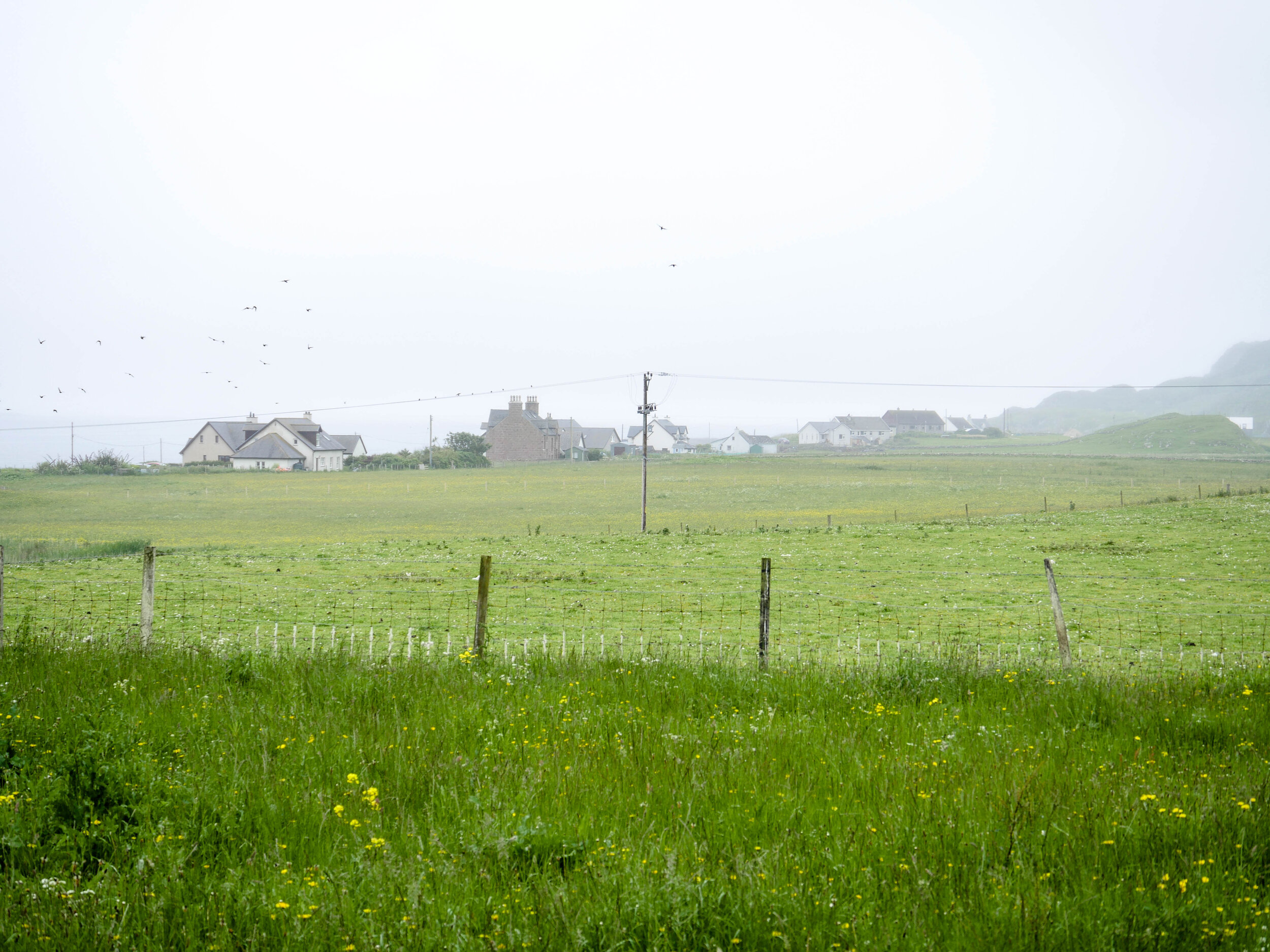 Iona, Scotland, 2017