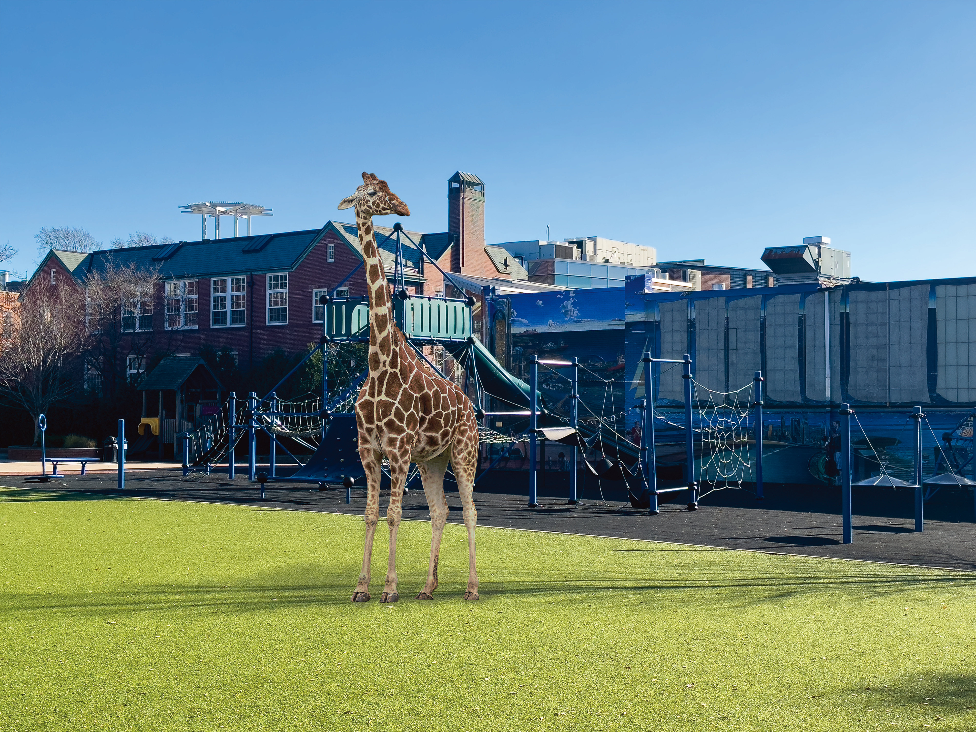 A giraffe on the playground of kindergarten