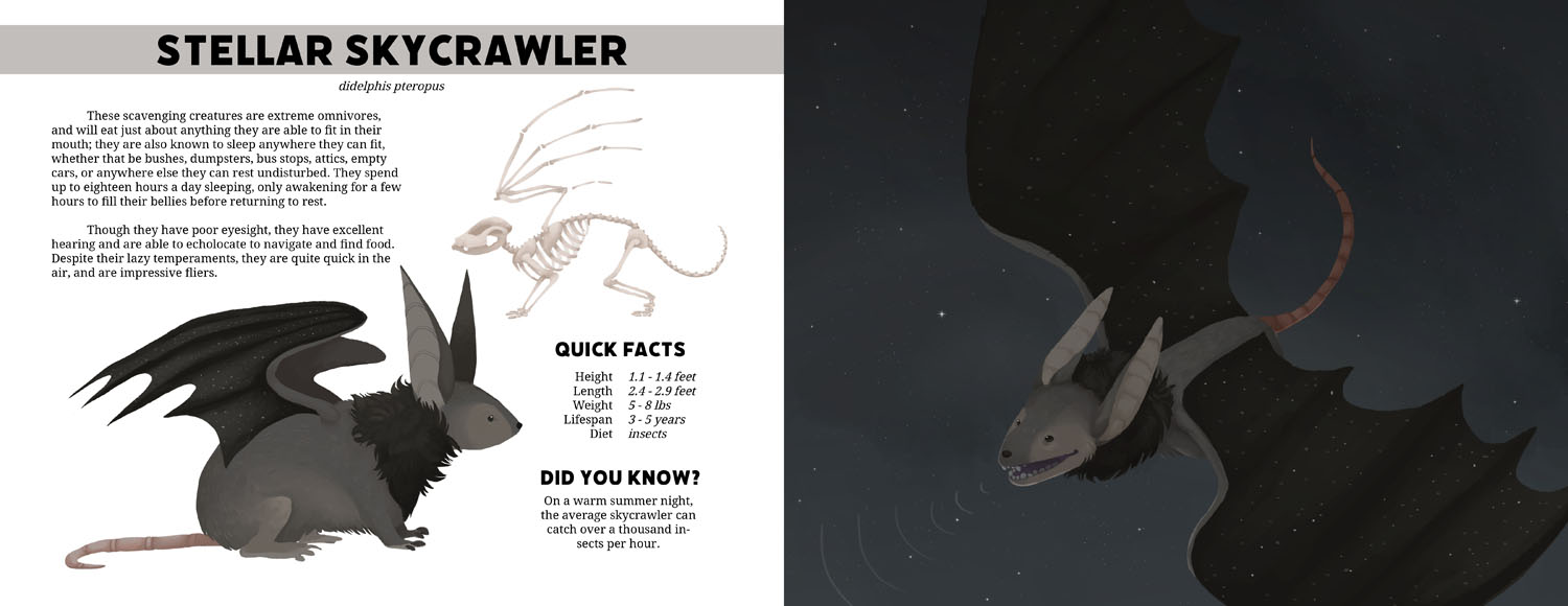 Stellar SkycrawlerDigital, 8.5 x 22, 2022