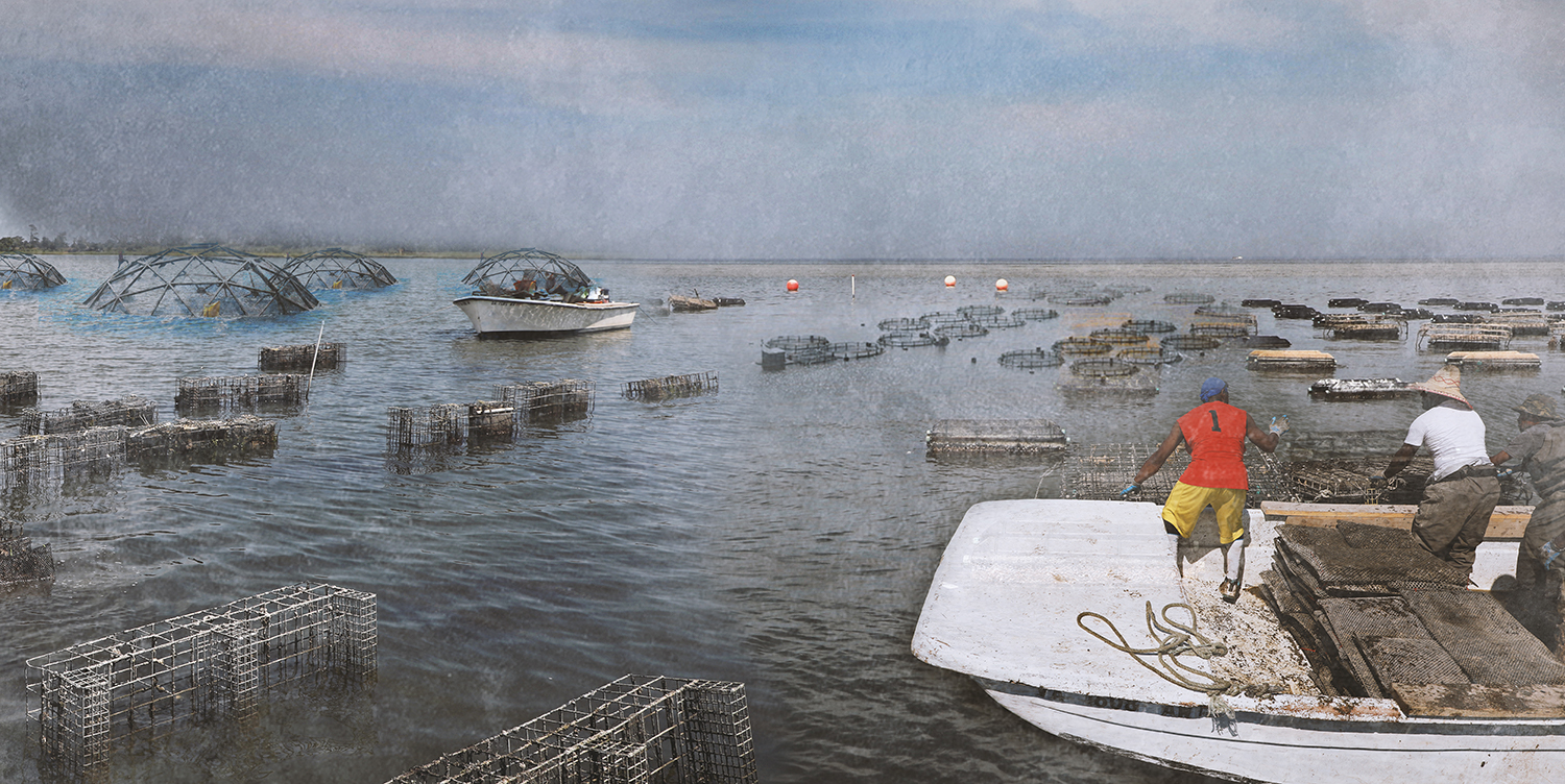 Maintain and manage a productive aquatic landscape