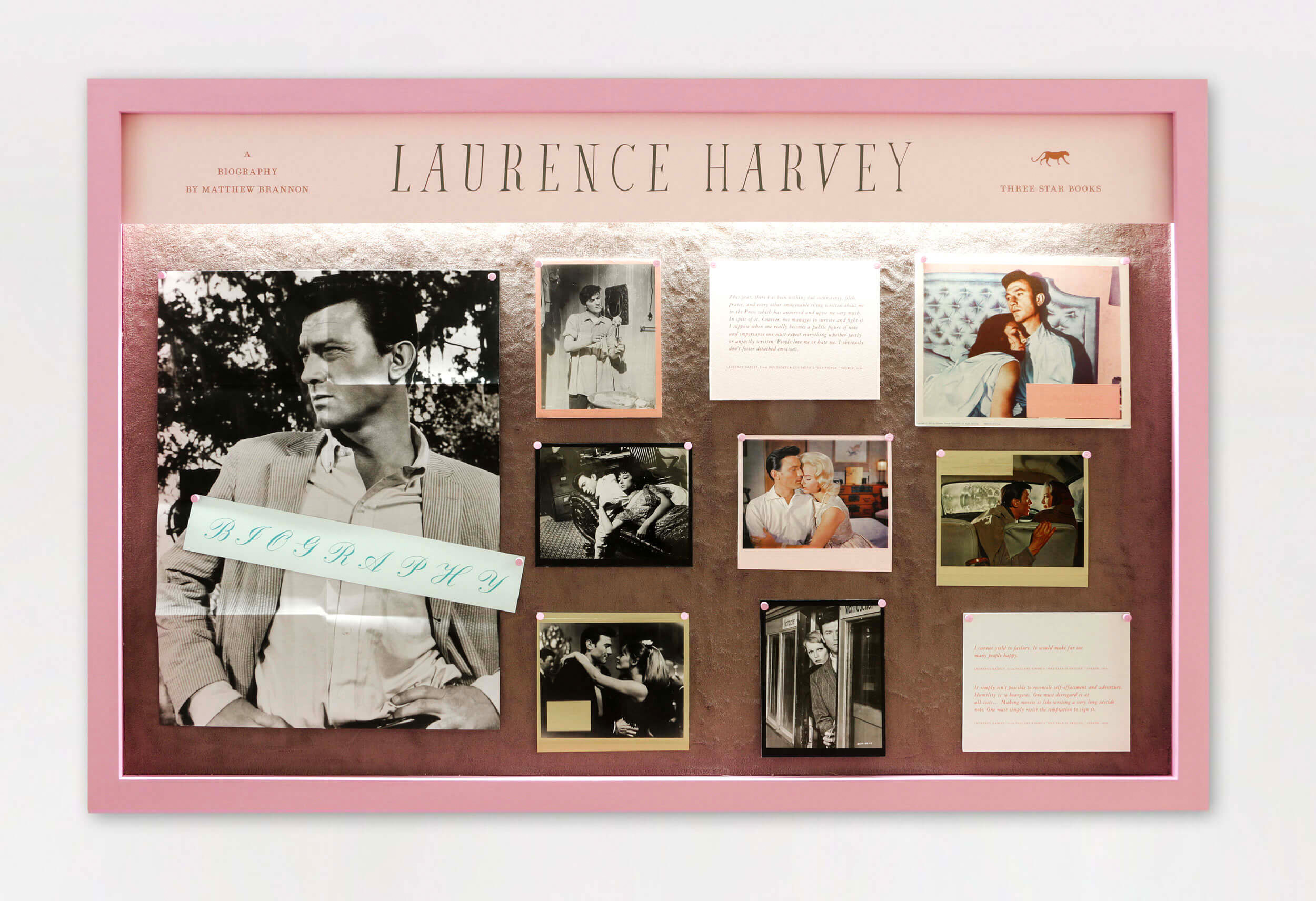 Lobby Card Display Case