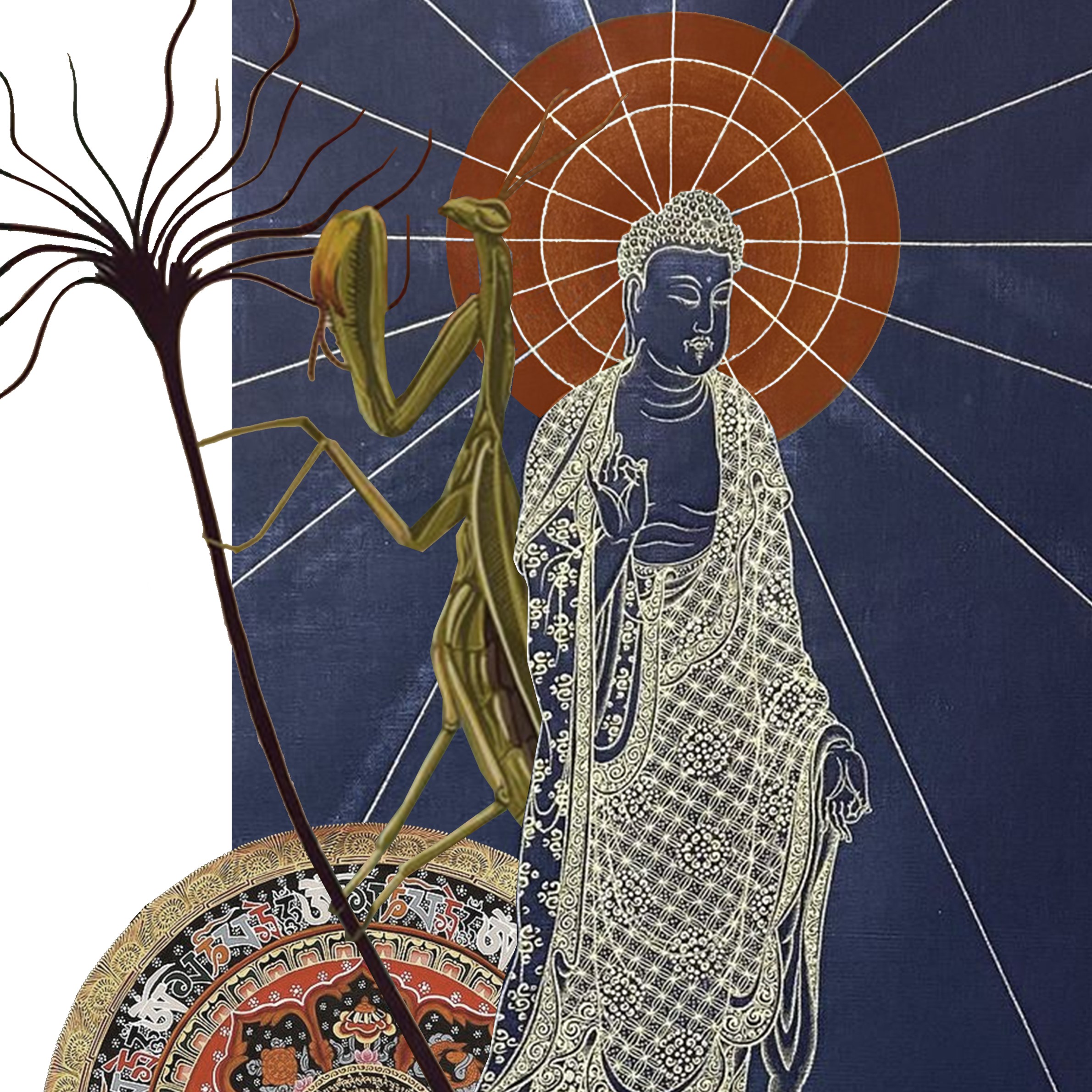 PRAYING MANTIS IN THE GIANT MANDALA