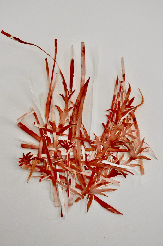 Criss Cross, 2019, Watercolor and ink on paper, 30x35 cm