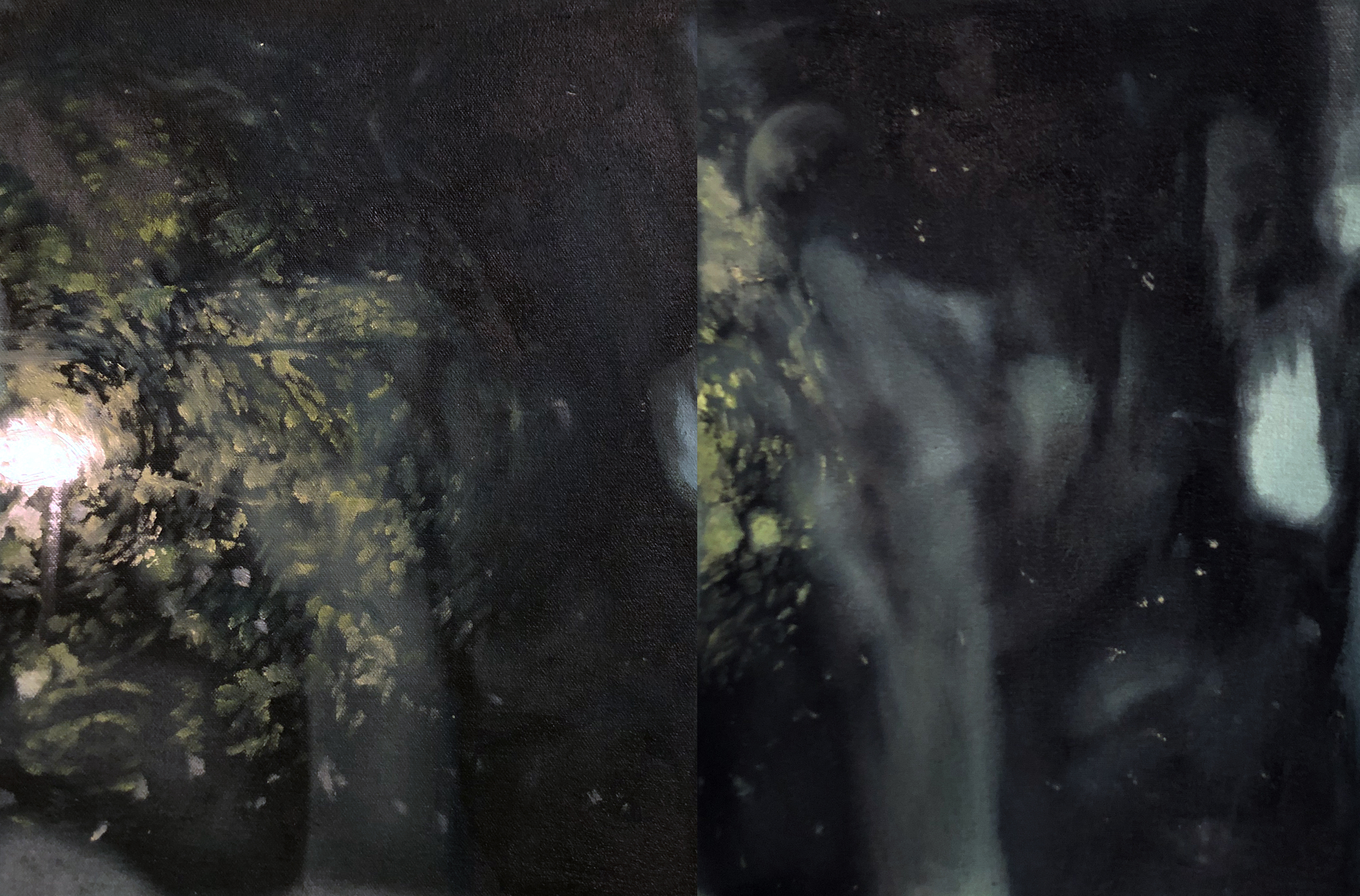 FlashEcco (Double)Oil on Canvas50 x35cm (Diptych)