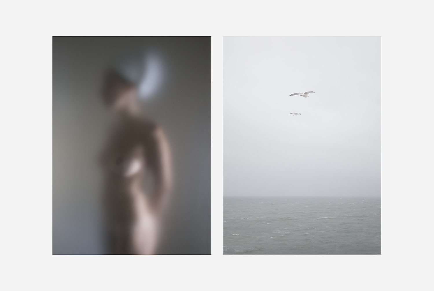 Foto de desnudo y gaviotas en el mar belleza