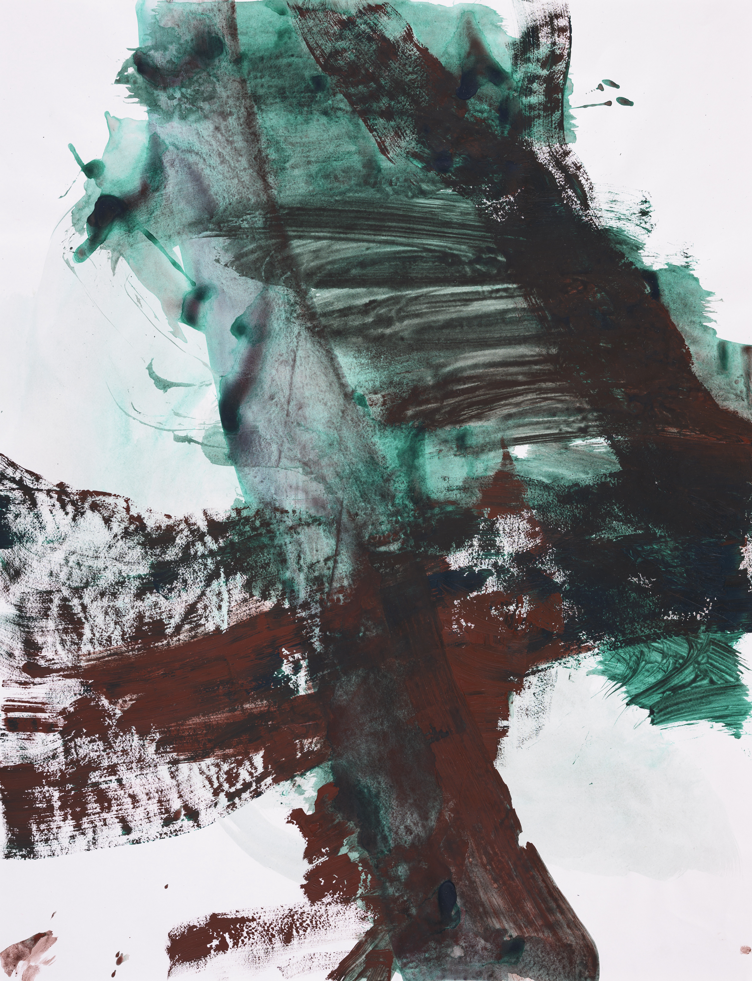 Study of nature 0041Acrylic on paper 65×50cm