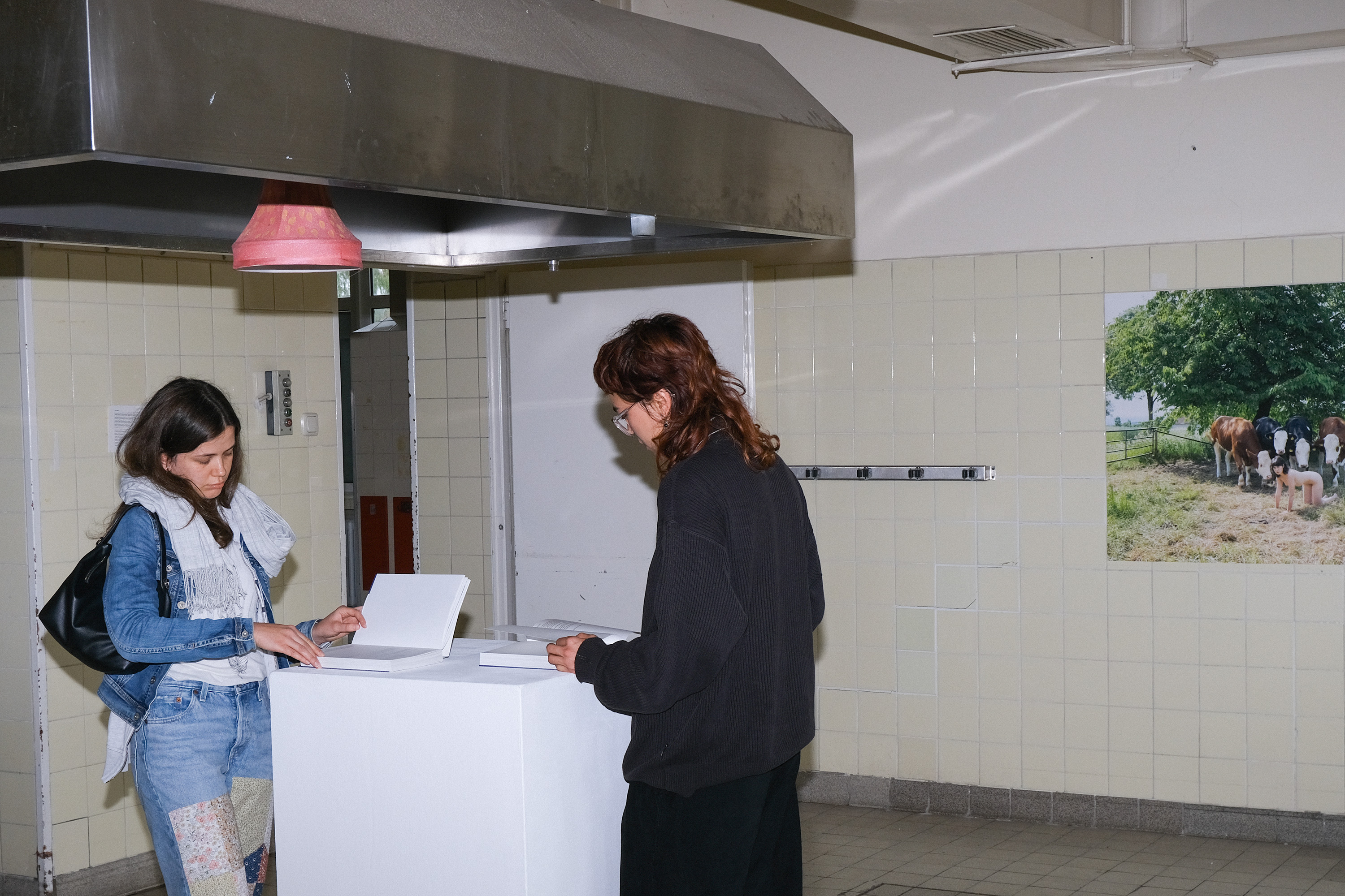 Aufnahmen von Alex Luermann